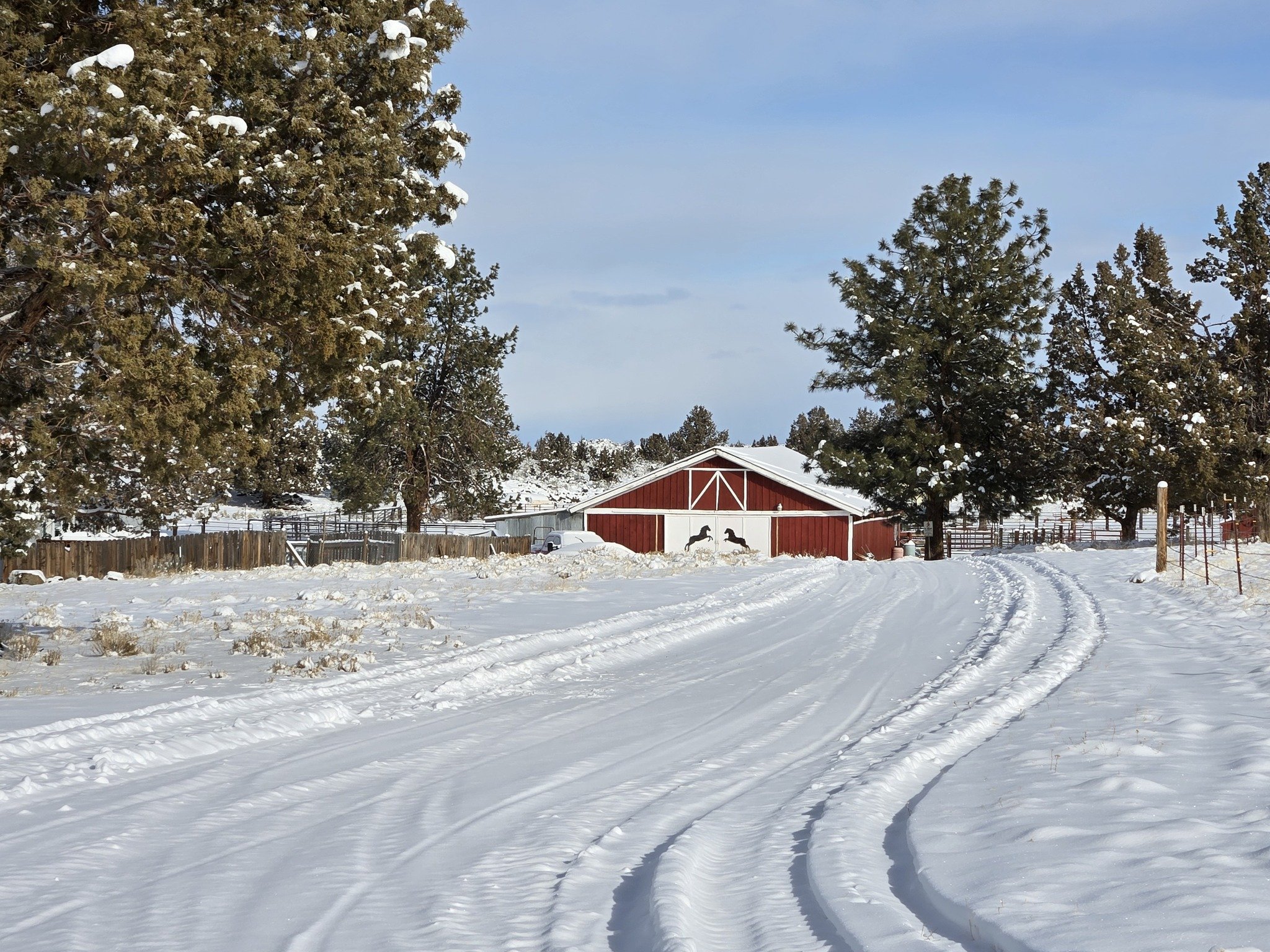 2025-02-07 SDM-snow.jpg