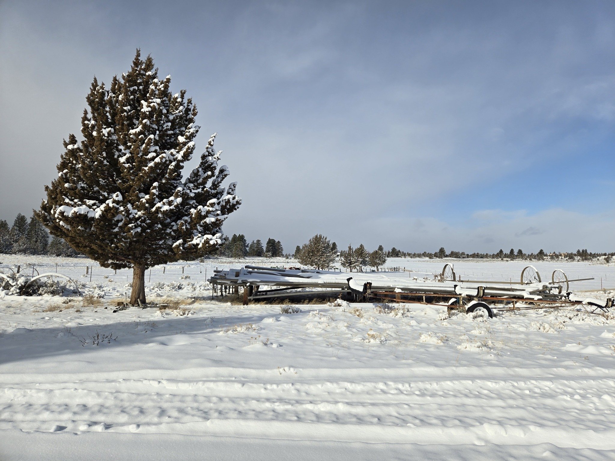 2025-02-07 SDM-snow2.jpg