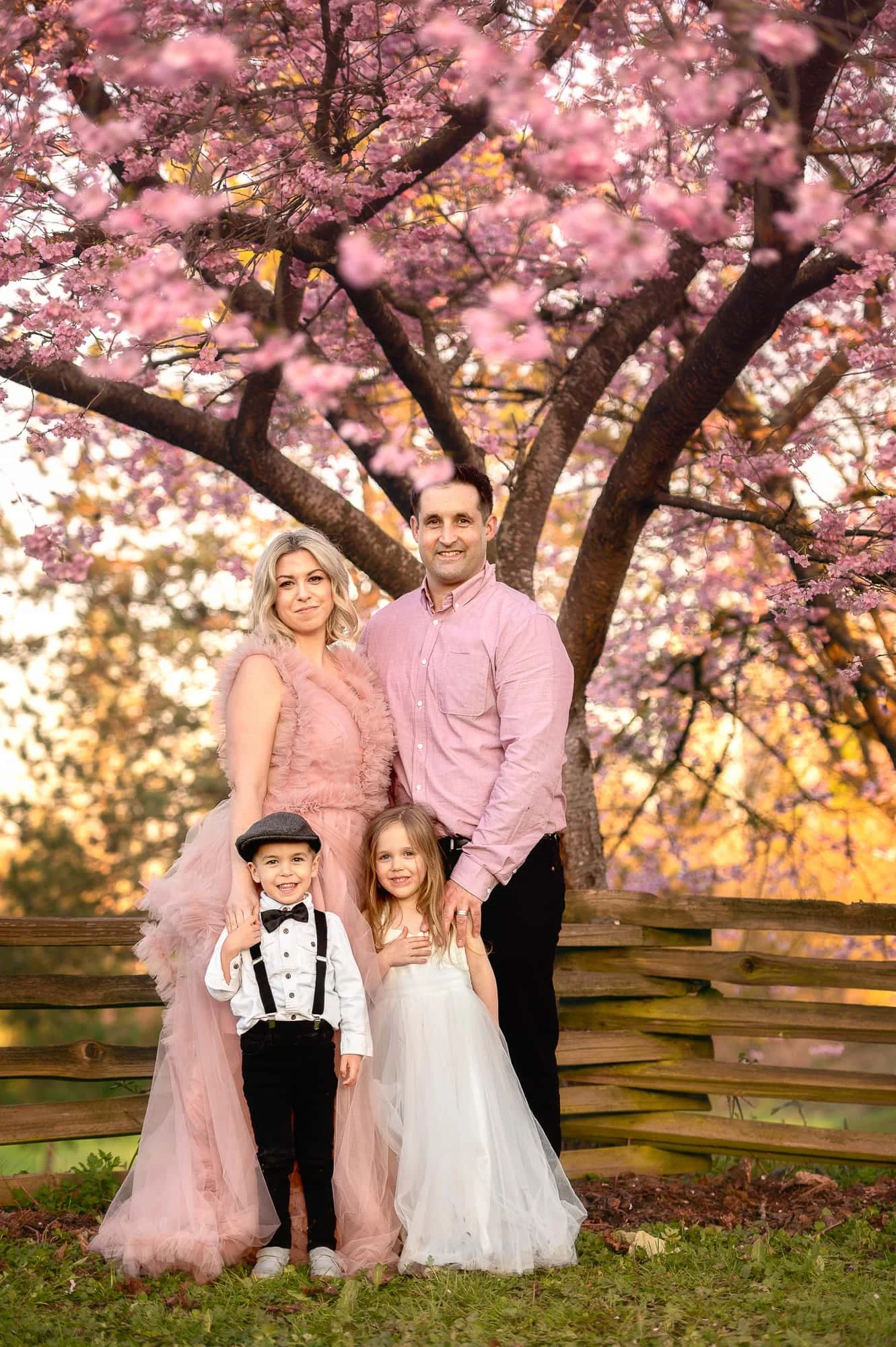 A family of four standing outdoors in front of a blossoming pink cherry blossom tree, with a wooden fence behind them. The family includes a woman in a pink dress, a man in a pink shirt, a young boy in a white shirt, black pants, suspenders, and a gr