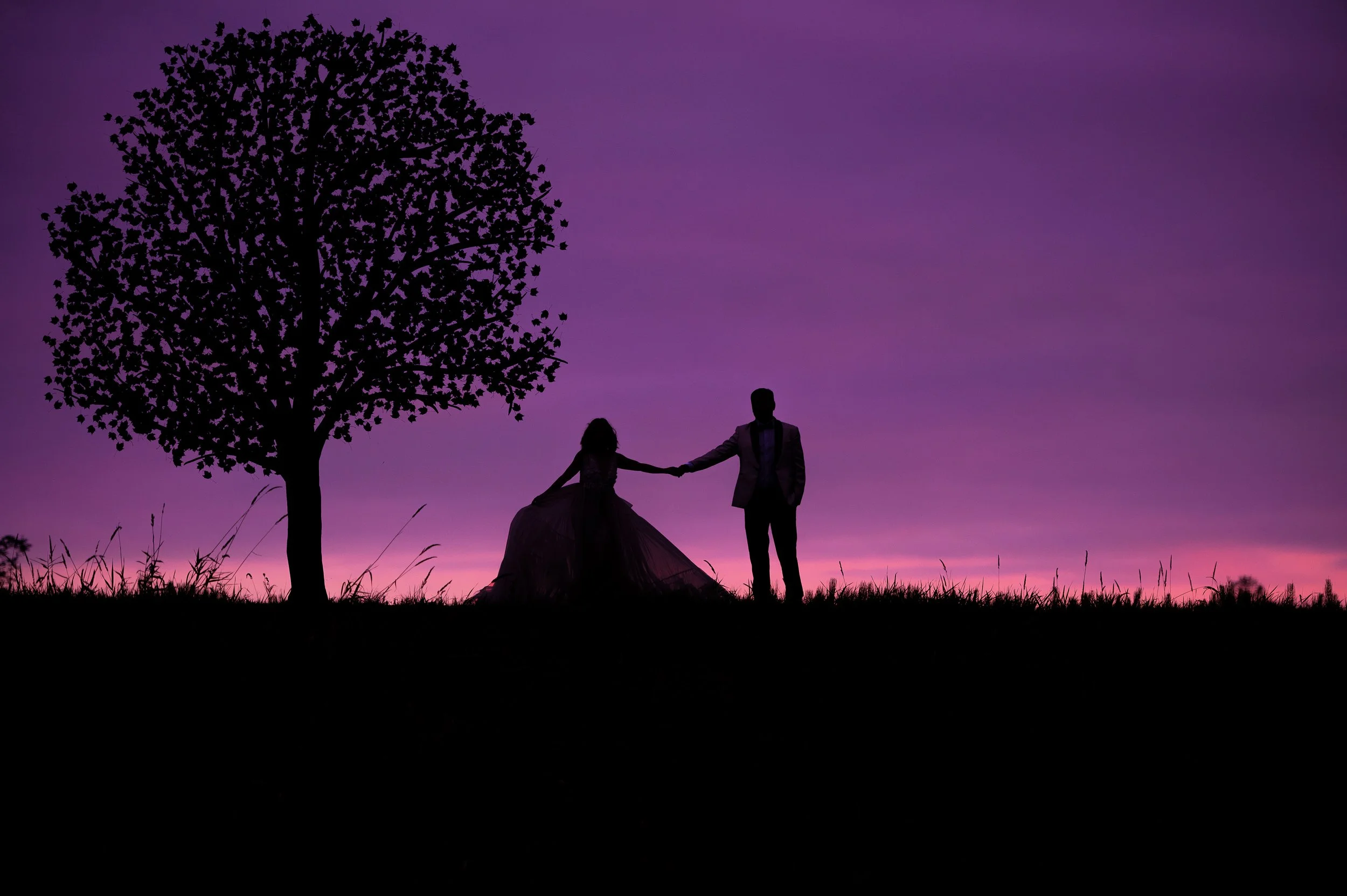 Silhouettes of a woman in a dress and a man in a suit holding hands under a tree during a pink and purple sunset.