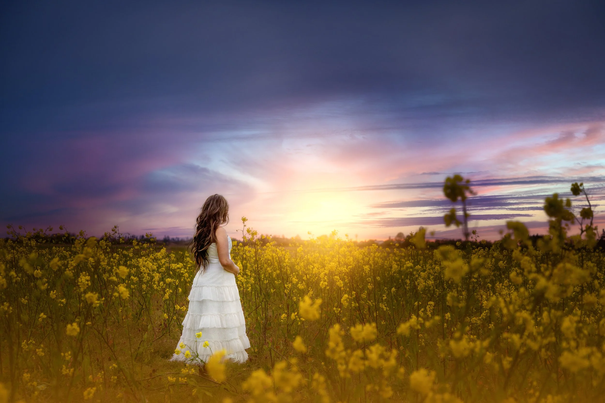 calgary children photographer white dress woldflowers.jpg