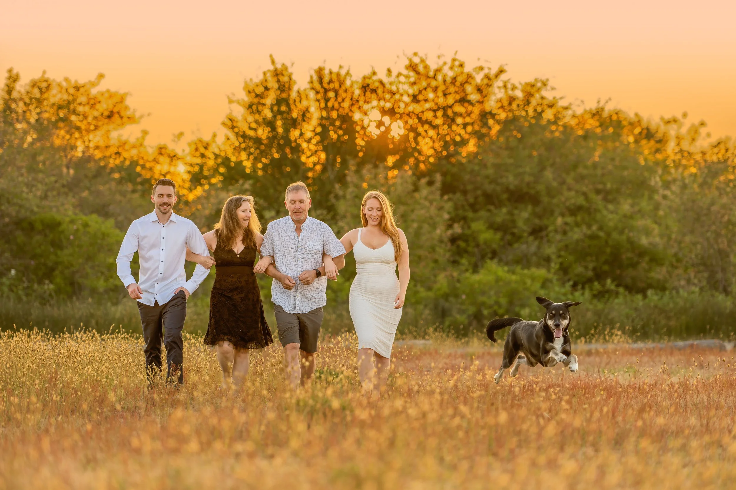 Four people, three women and one man, are walking with a dog in a field during sunset.