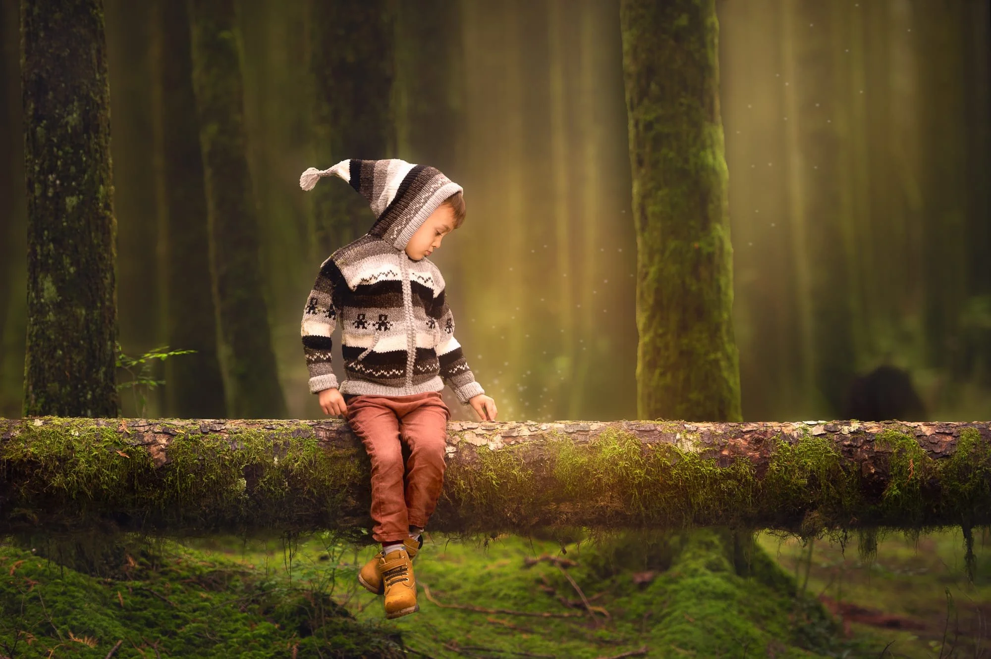 A young boy wearing a knit hat and sweater sitting on a fallen tree in a mossy forest with sunlight streaming through the trees.