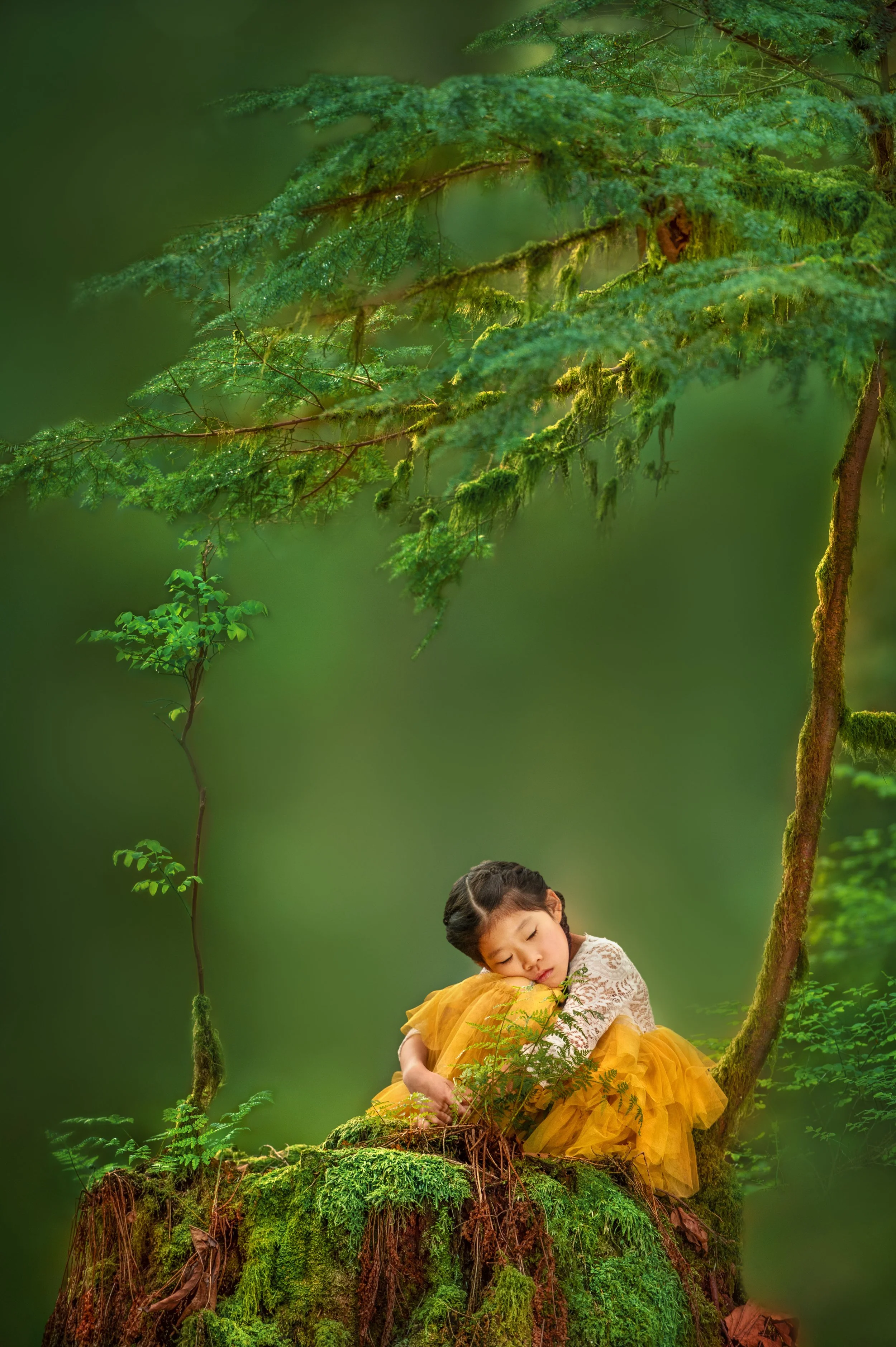 A young girl with dark hair sleeping peacefully on a moss-covered tree stump surrounded by lush green foliage in a forest setting.