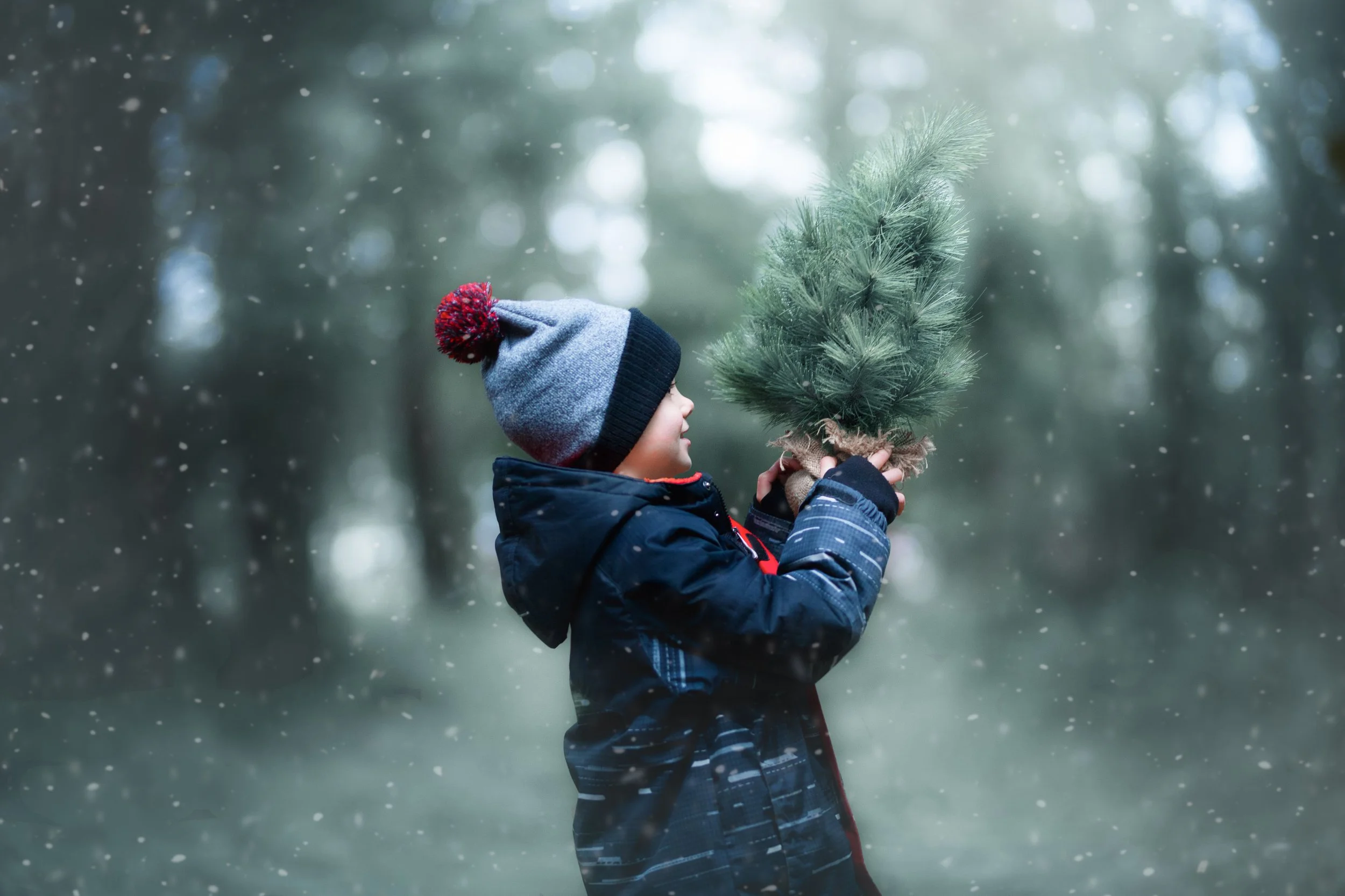 calgary-family-photographers-outdoors-12.jpg