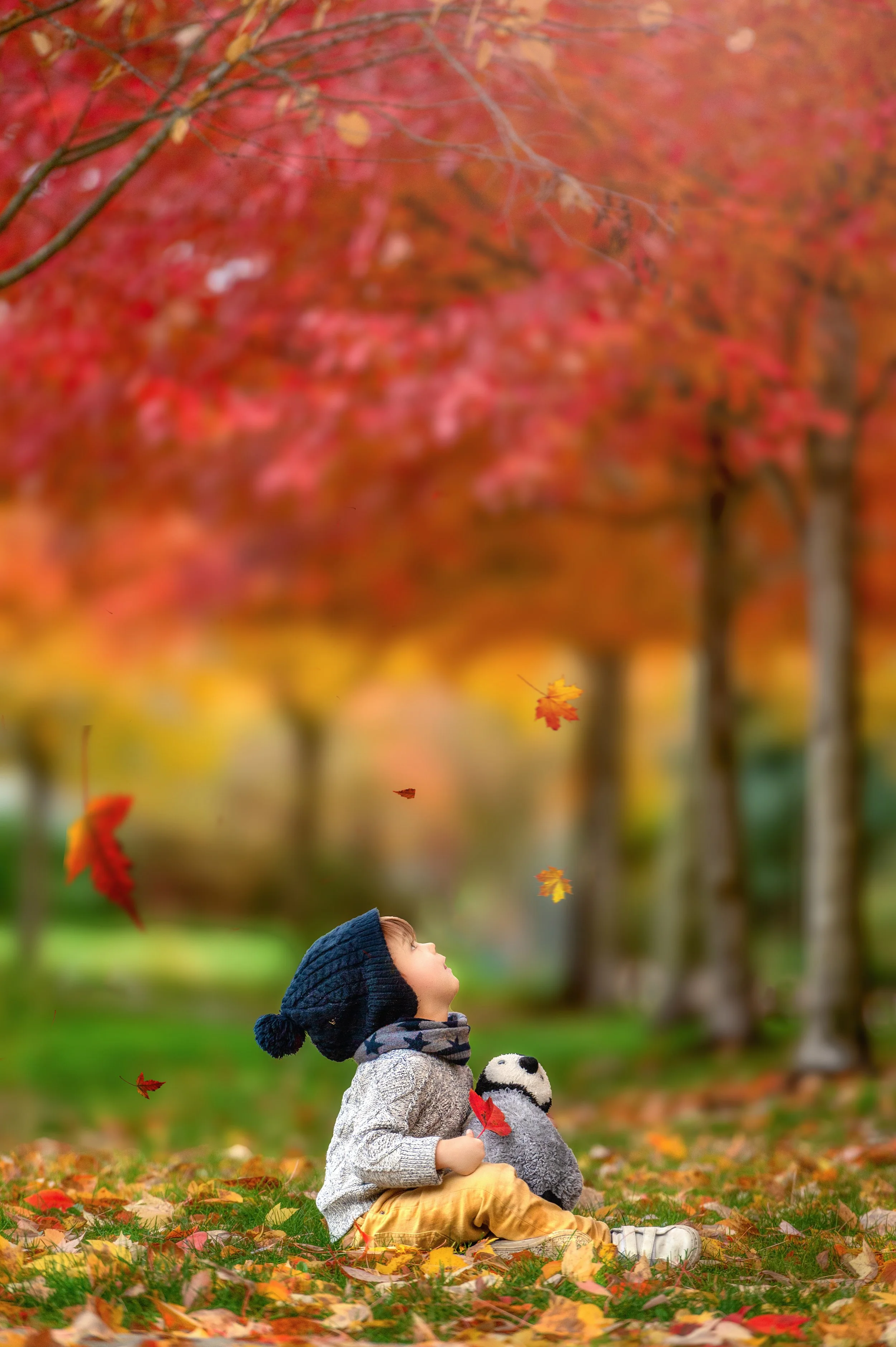 A child sitting on the ground covered in fallen autumn leaves, with a landscape of colorful trees in the background. The child is wearing a dark knit hat, a scarf, and light-colored pants, and they are holding a plush owl toy, gazing up at the fallin