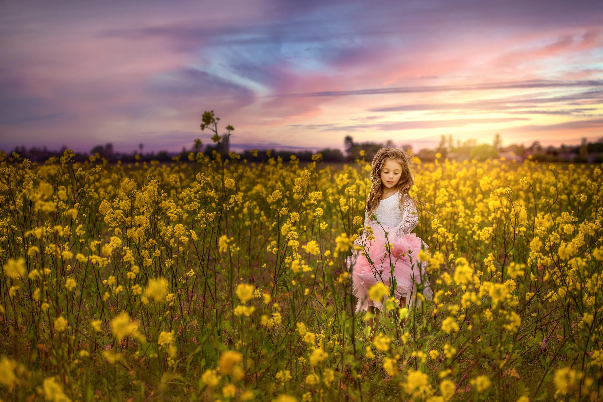 calgary children photographer girl in pink and white dress in a field of flowers.jpg