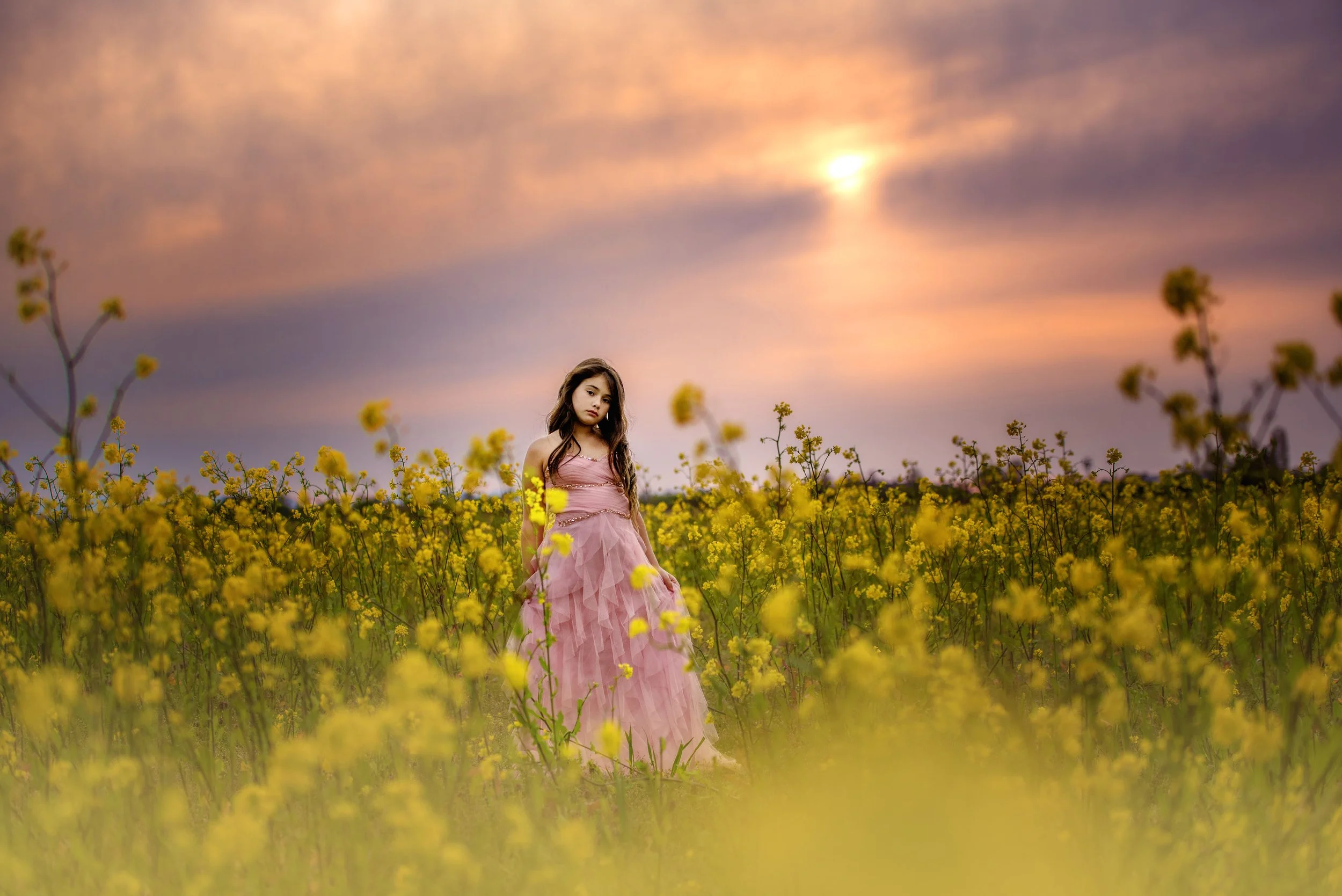 calgary children photographer pink dress sunset.jpg