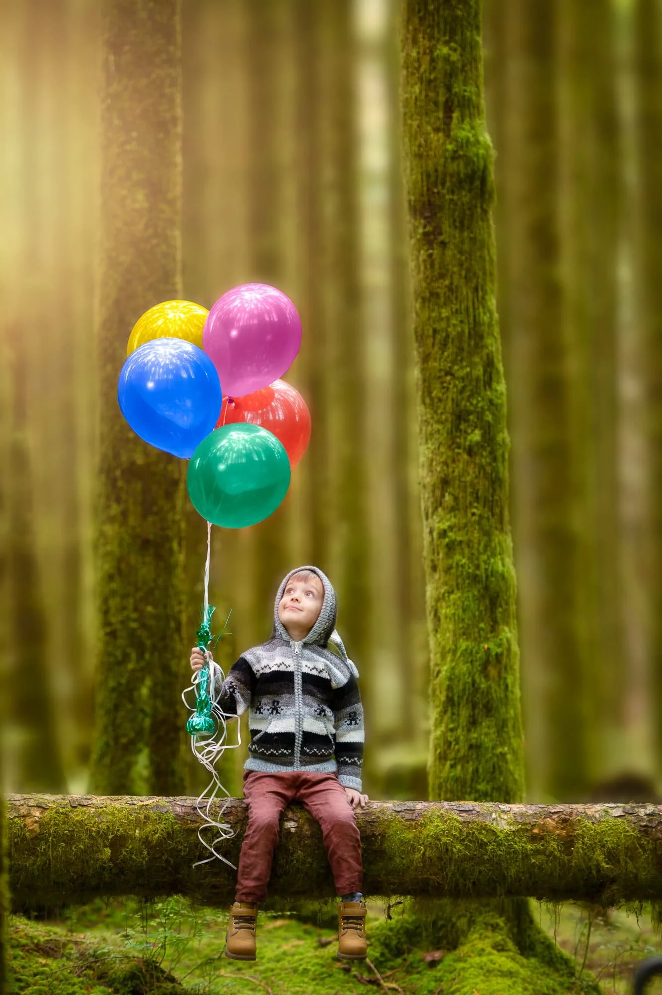 Calgary family photographer boy holding balloons in forest.jpg