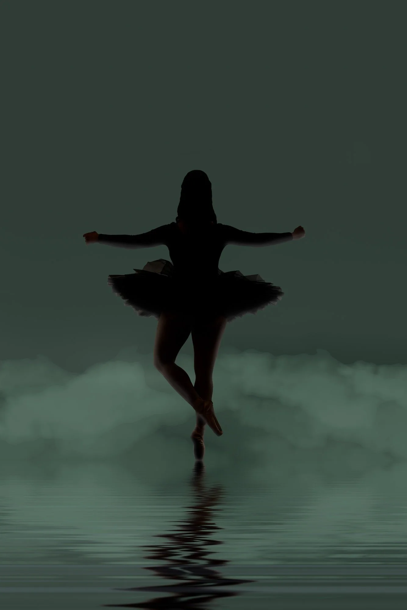 A silhouette of a ballerina in a tutu standing on tiptoe on water, with arms outstretched against a cloudy sky background.