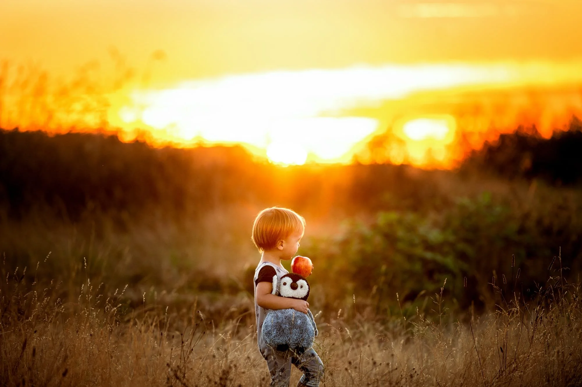 A young child standing in a field at sunset, holding a plush penguin and an apple, with trees in the background.