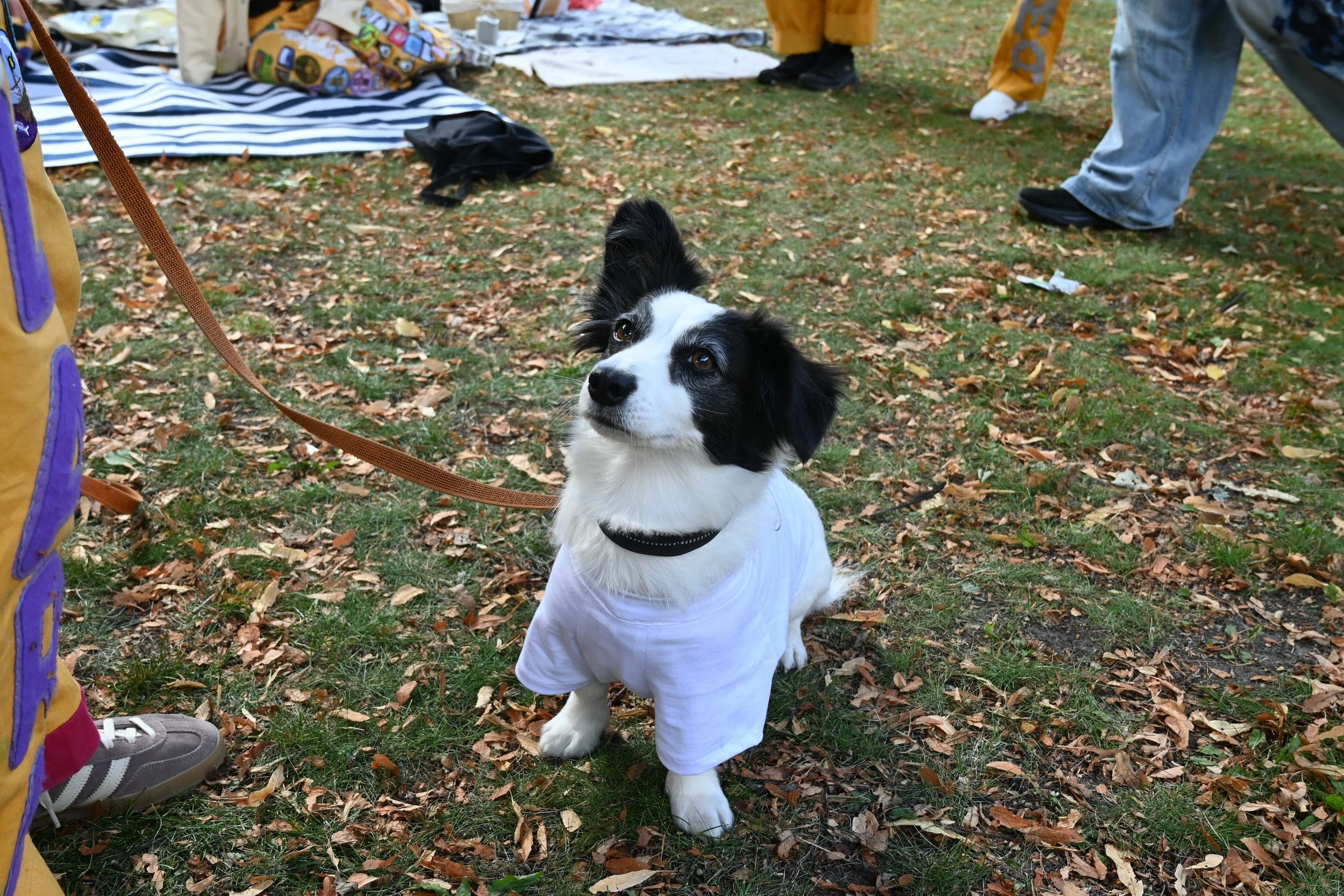 DSC_9884.JPG