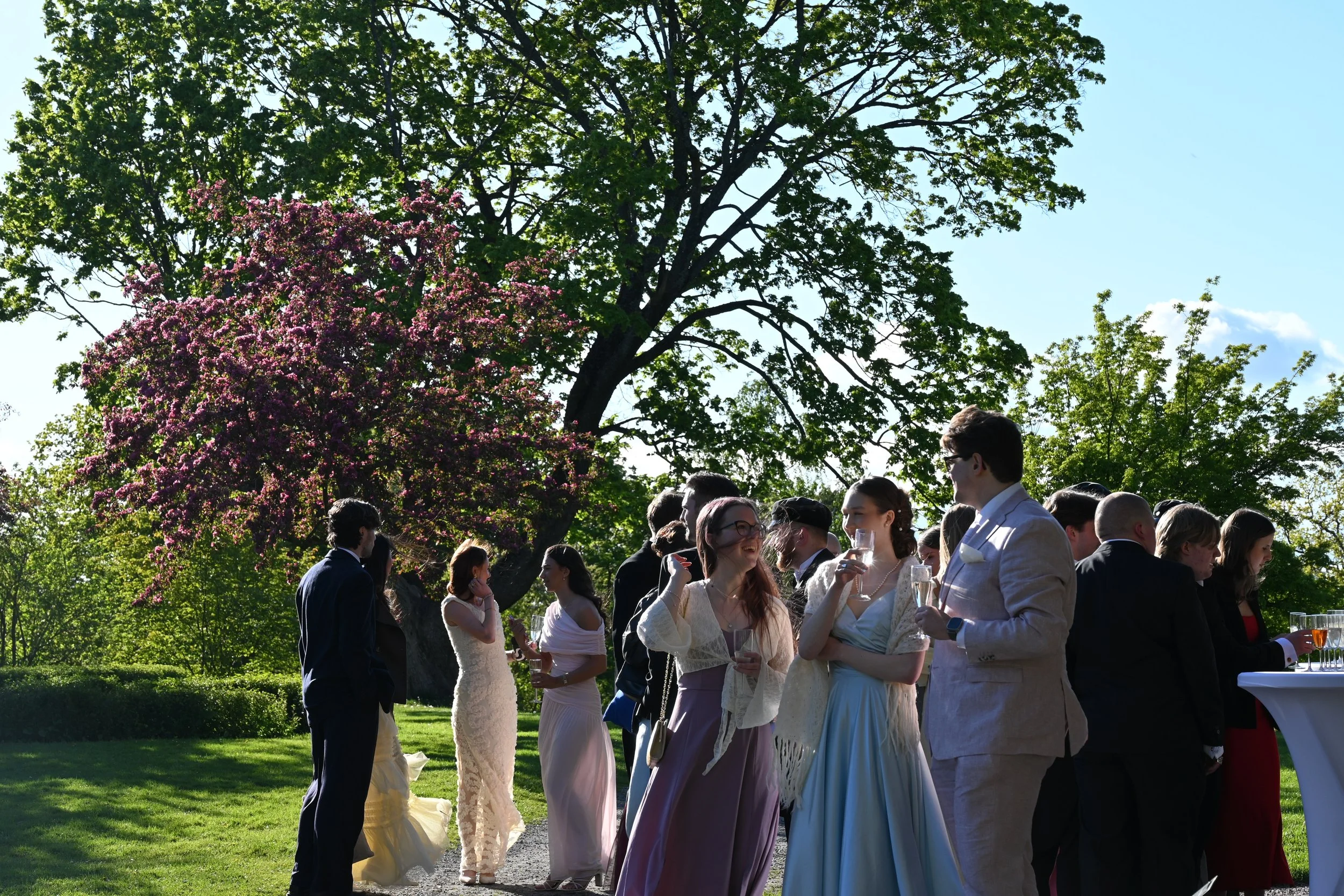 DSC_4237.JPG