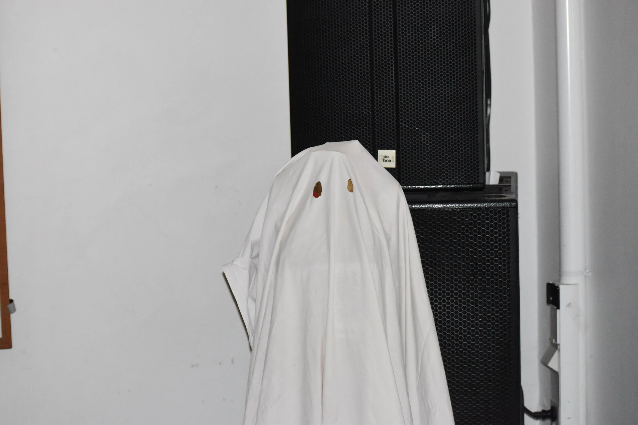 DSC_0911.JPG