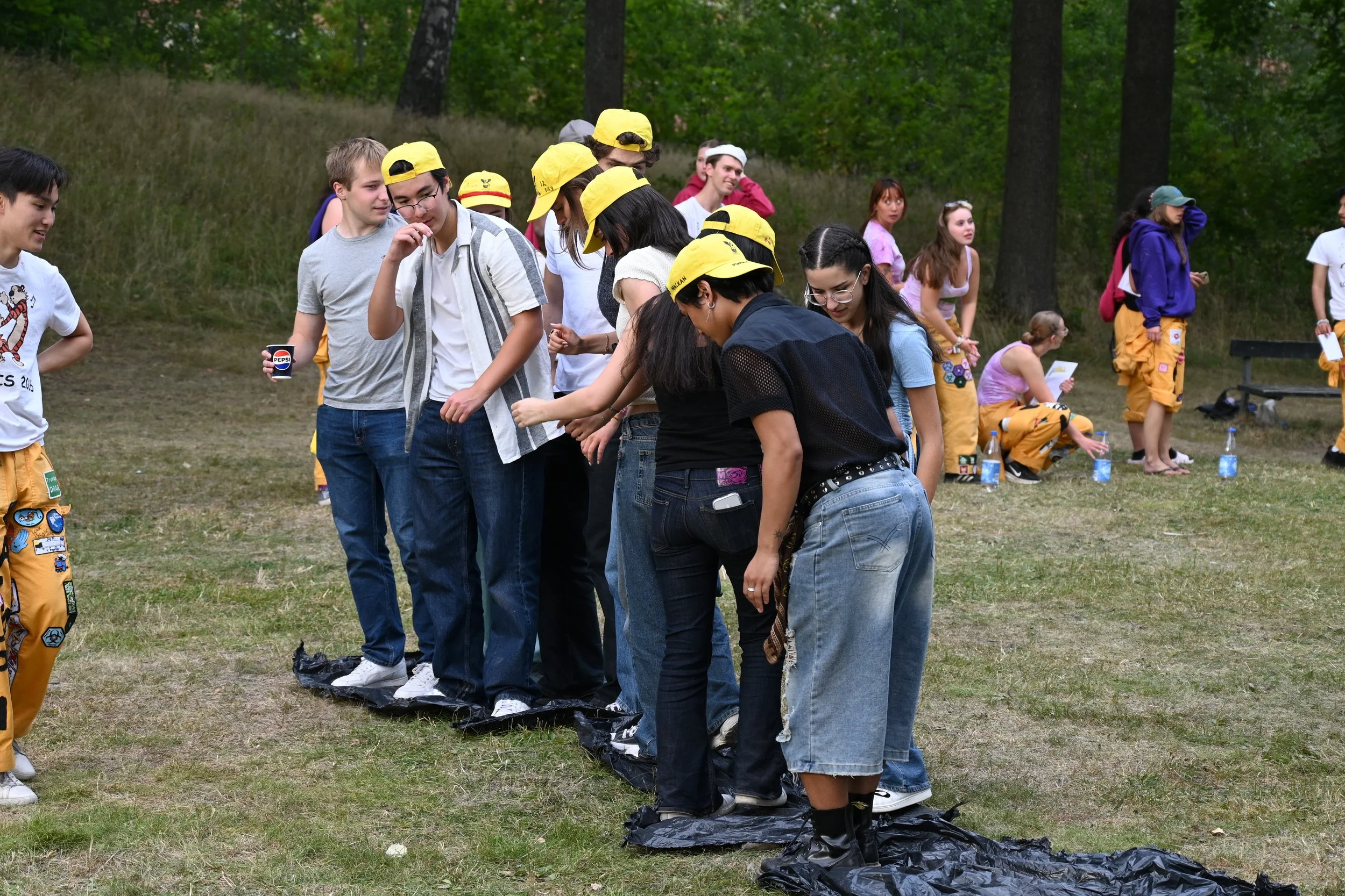 ALV_2712.JPG