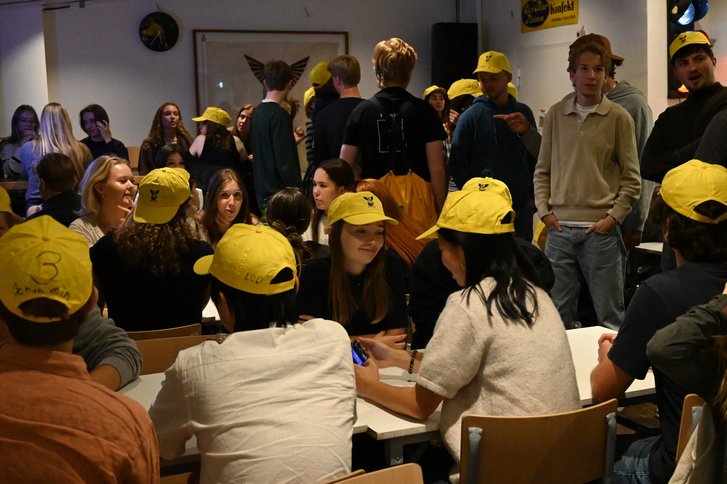 ALV_0347.JPG