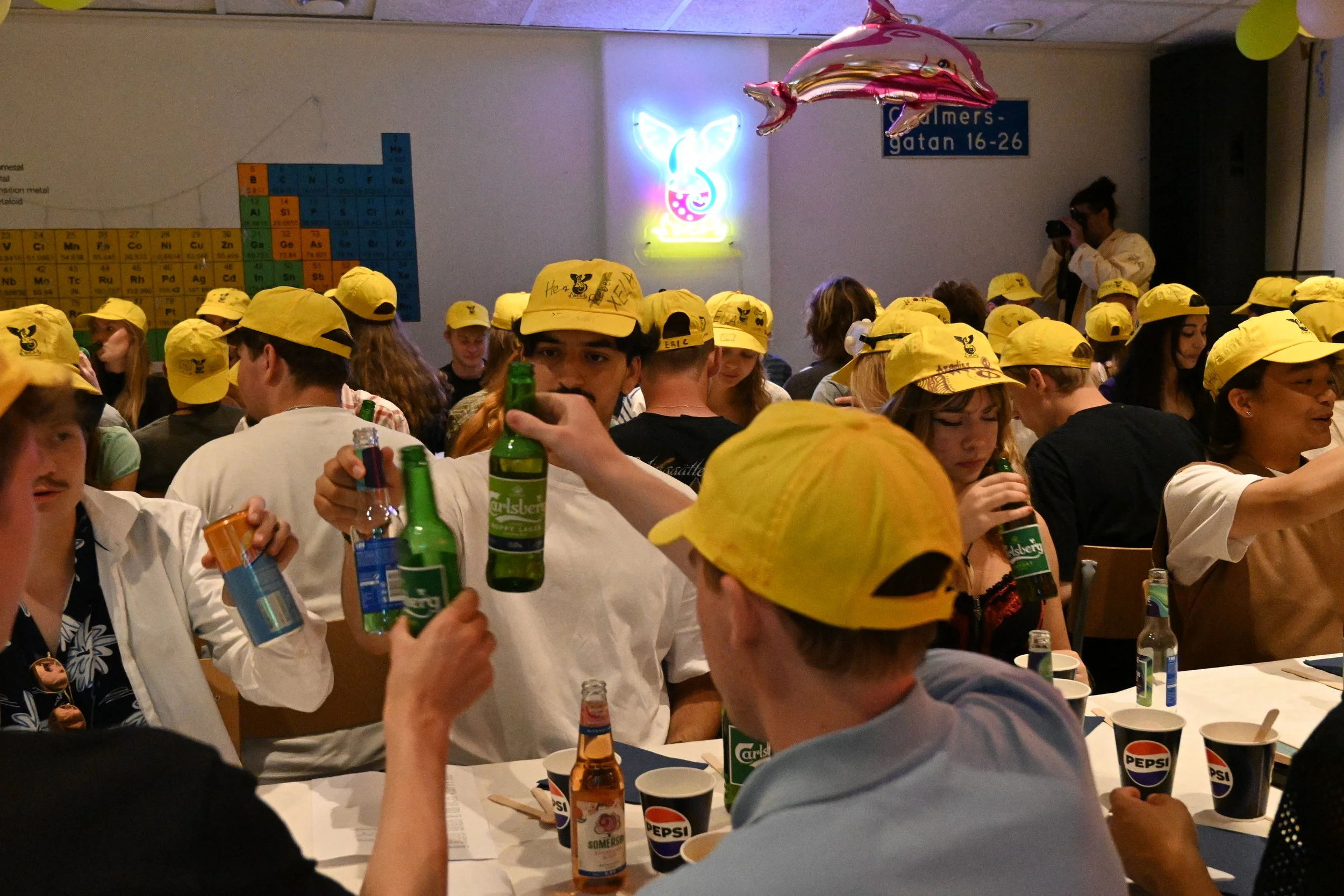 ALV_2808.JPG