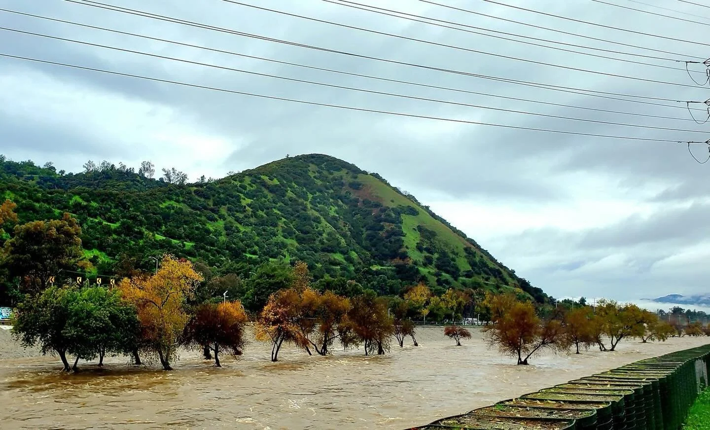 A smart person will tell you that you never want to be within 10 feet of the LA River when it&rsquo;s flooded during a rain storm. A wise person would heed that sound advice. Apparently I am neither smart nor wise.

Perhaps I subconsciously wanted to