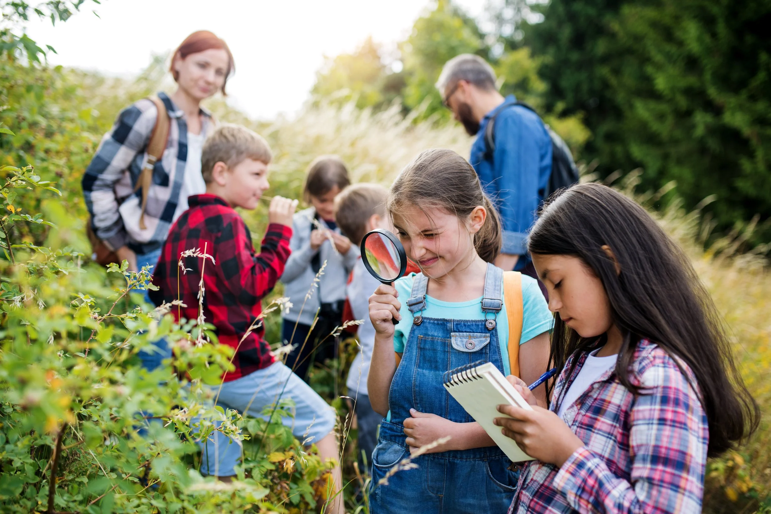 Navigating Liability Risks on School Field Trips: Ensuring Safe and Educational Experiences