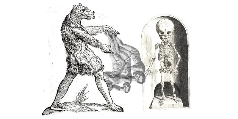 Rage: My Intern's Notes