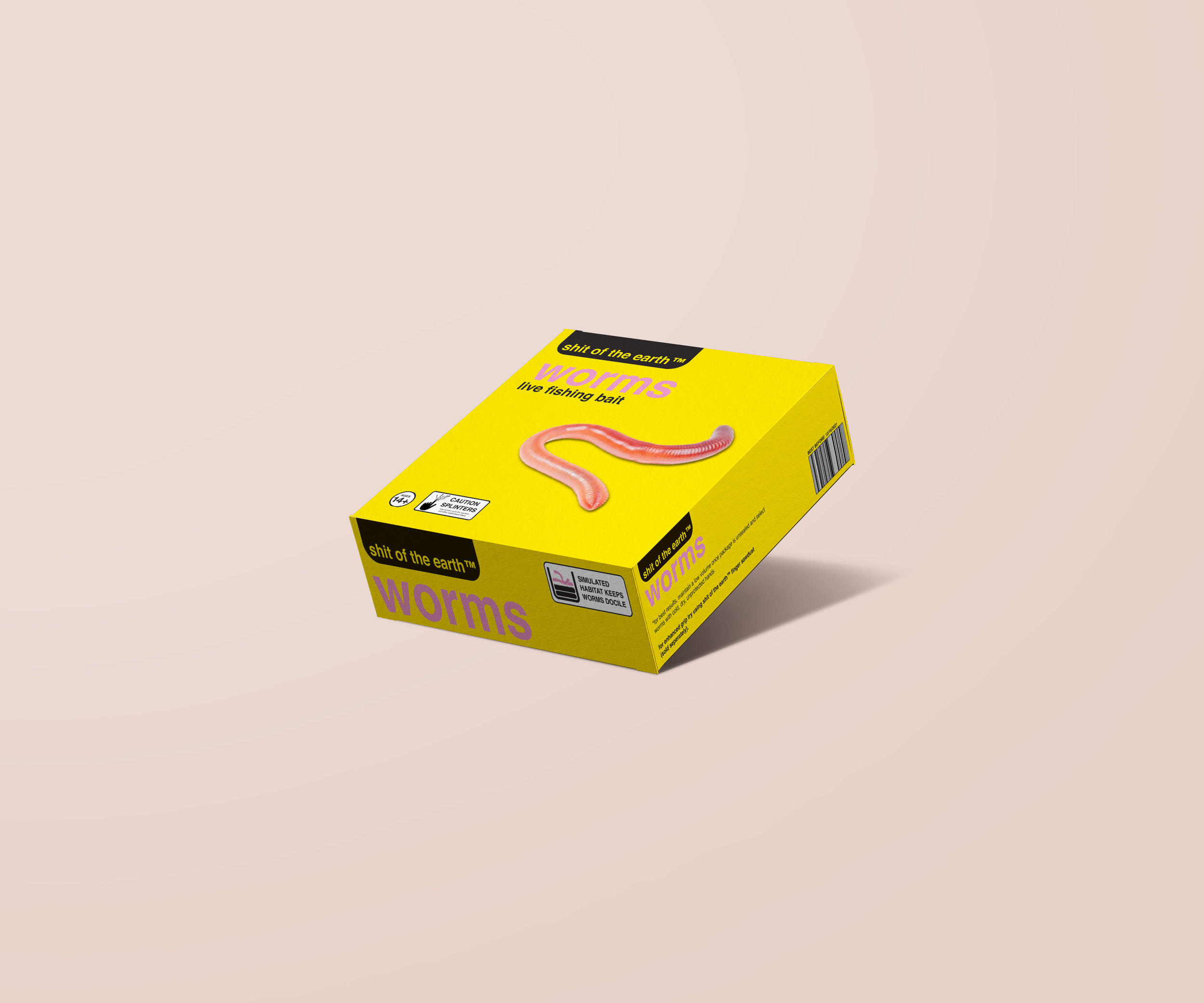 DESN231_P5_HoustonAdam_Mockup3.png