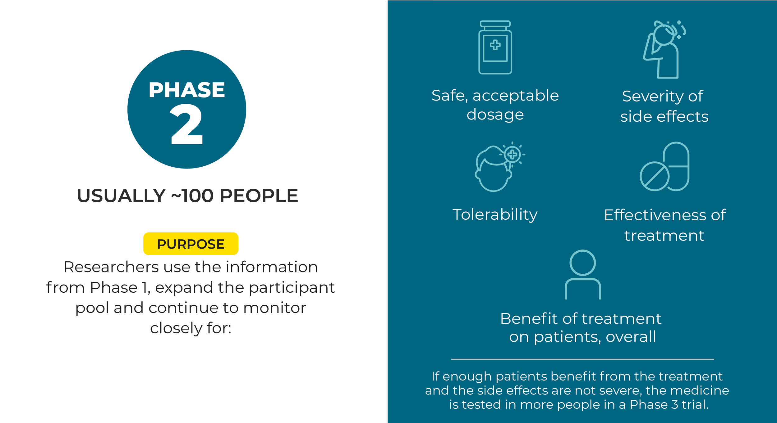 Pfizer_TLWC_CTPhases_r4-02.png