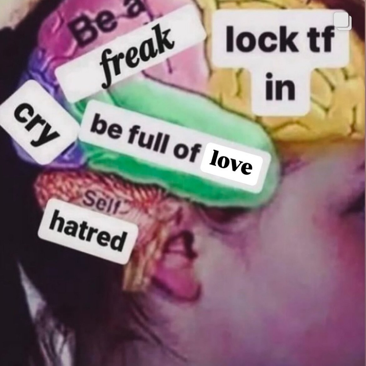 G.E.M. tonight babes, we’ve been sparse these past few weeks but hope you can make it tonight <3 6PM PST VIA ZOOM QTBIPOC EN FRENTE 💌🎯