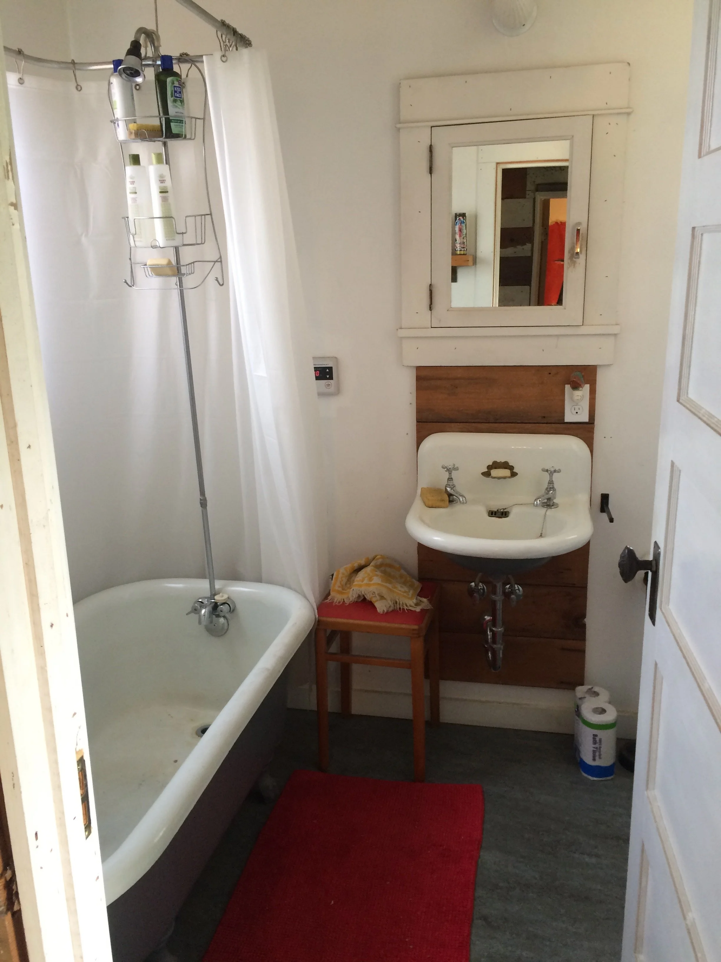 N Smith- Bathroom before