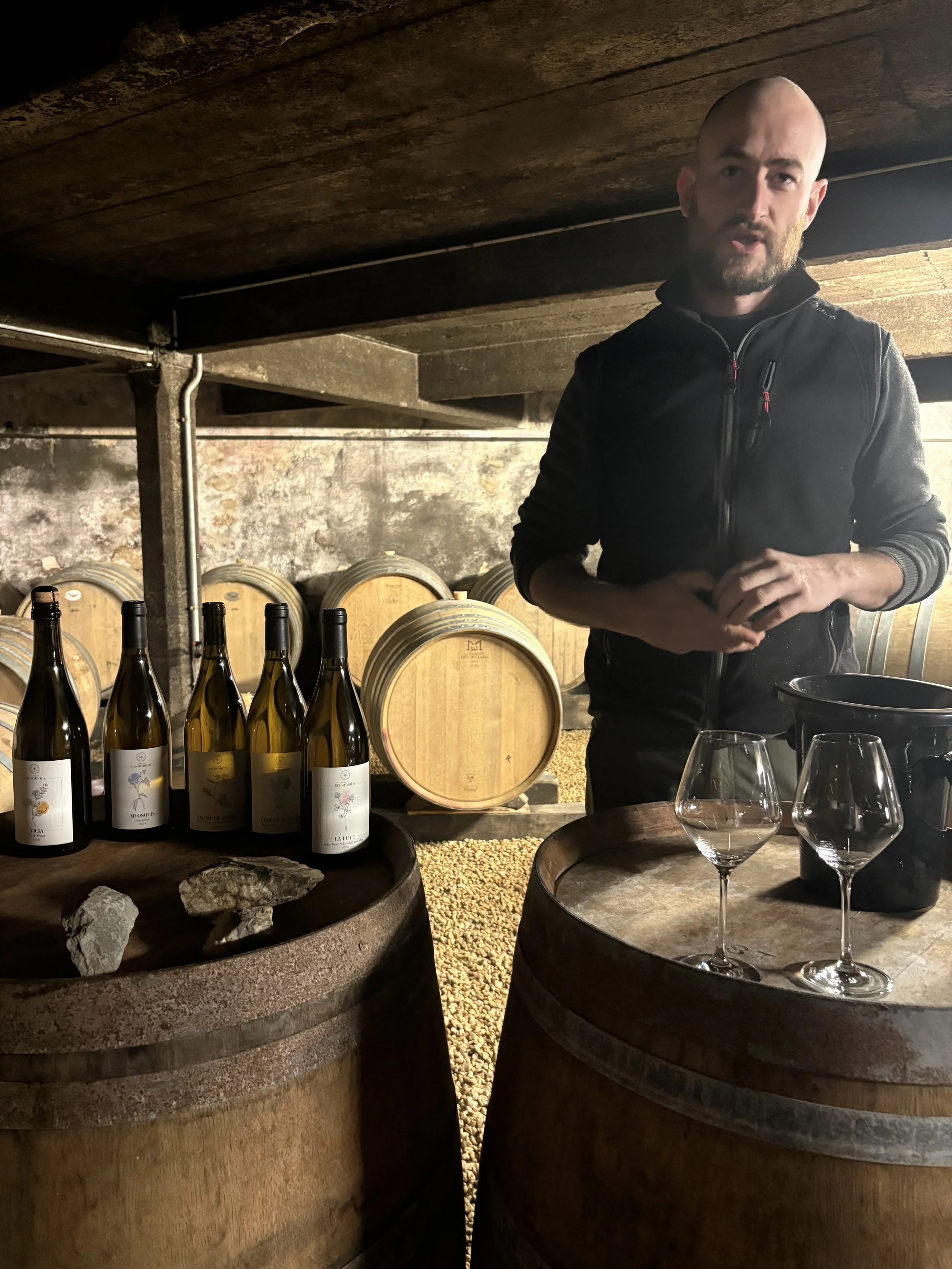 Romain in cellar.jpg