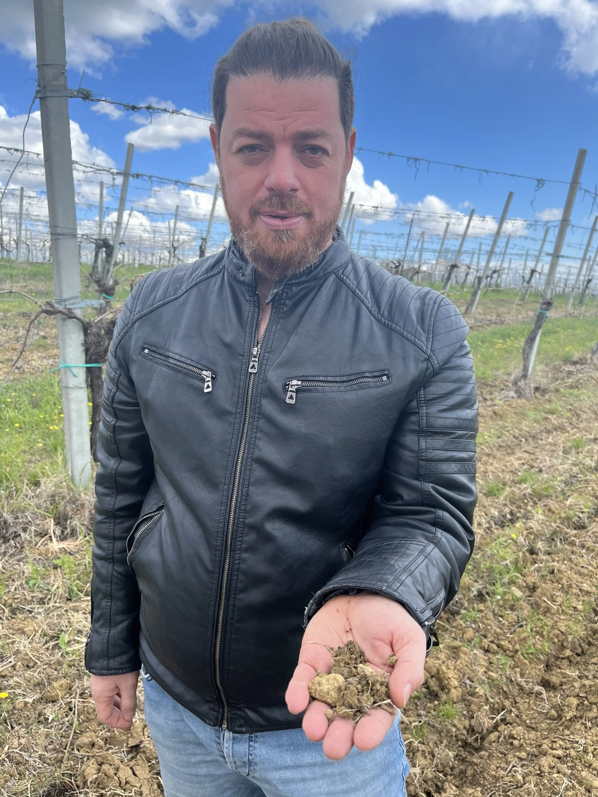 mirco-gianaroli-vineyard.jpg