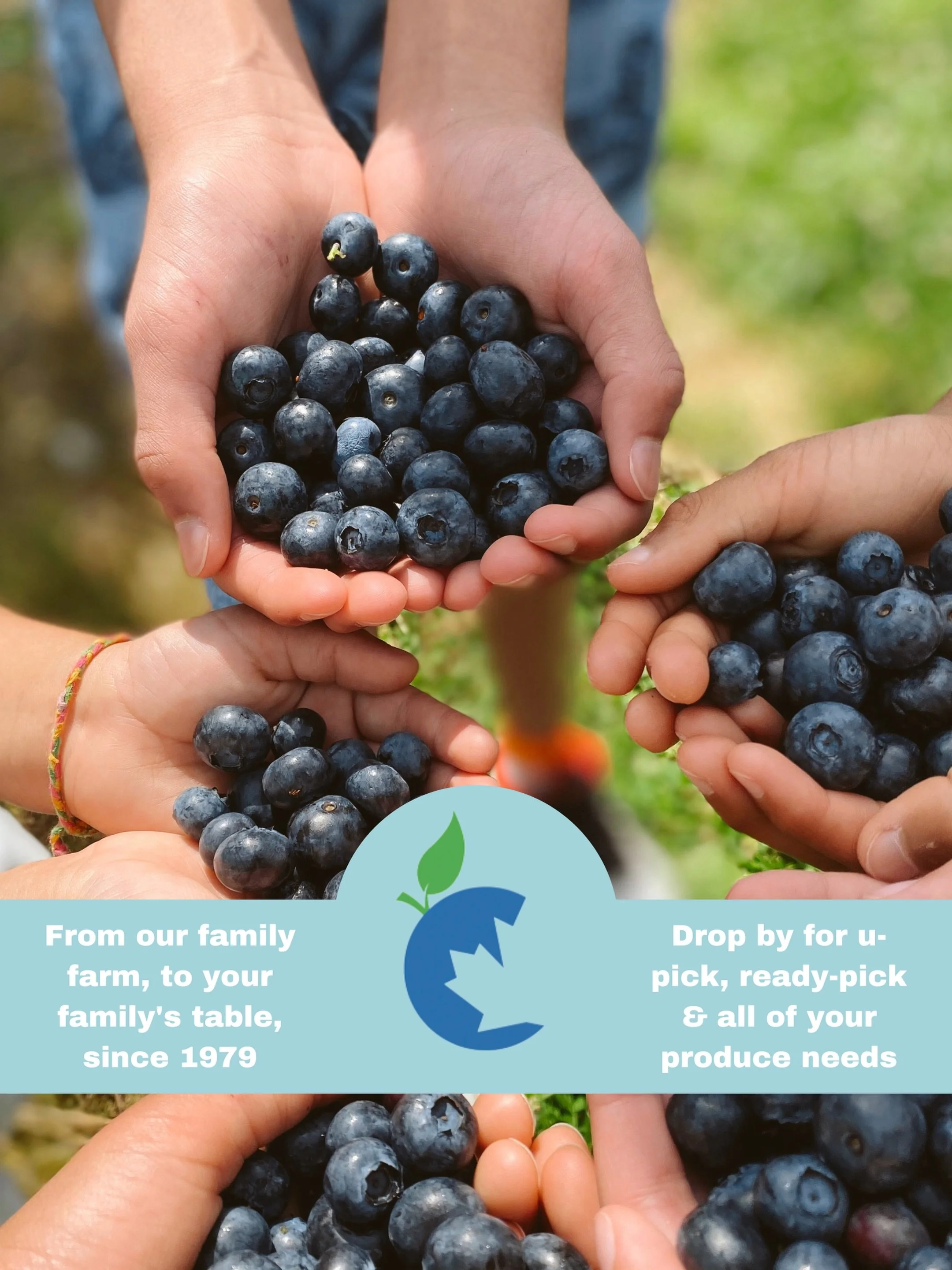 We are in the middle of blueberry season and it won&rsquo;t last much longer! Make sure you stock up on BC&rsquo;s summer fruit! We have upick and ready picked available. 🫐🚜

Our Farm Market is open everyday from 9am-7pm. Shop for more homegrown pr