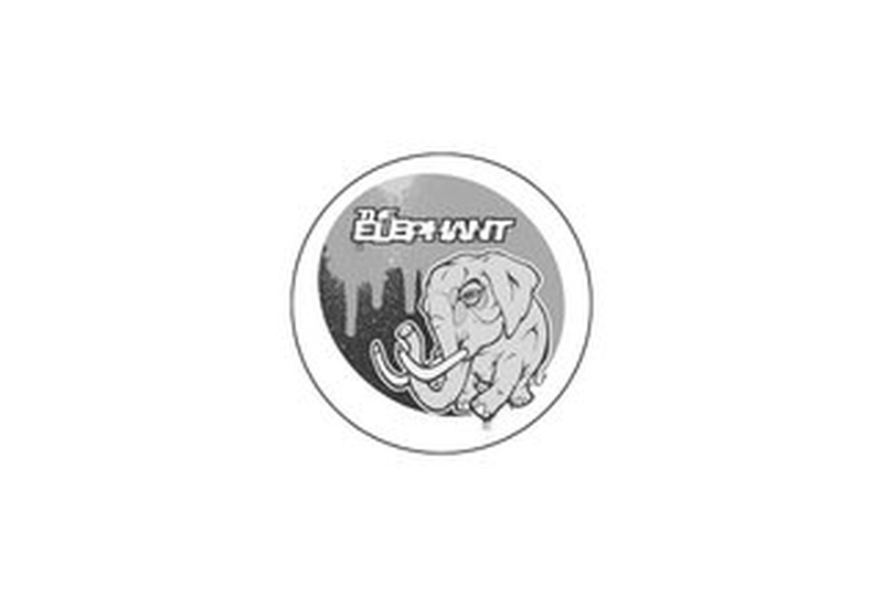 14_elephant.png