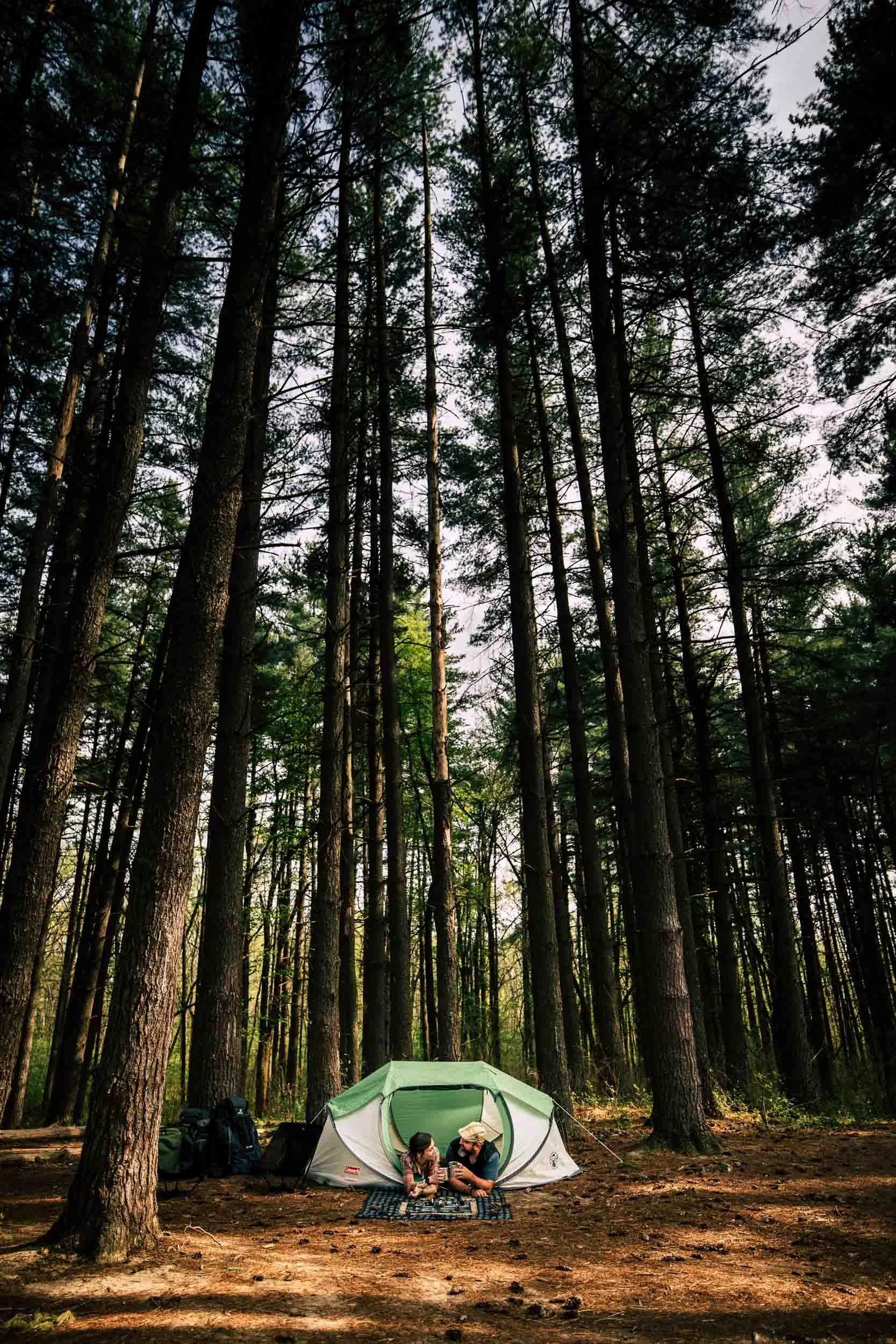 couple camping under tall trees at busch wildlife_engagement session photography