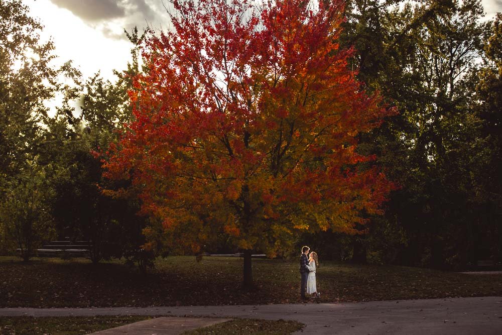engaged couple standing under a bright colored tree in lafayette park-engagement photography st louis