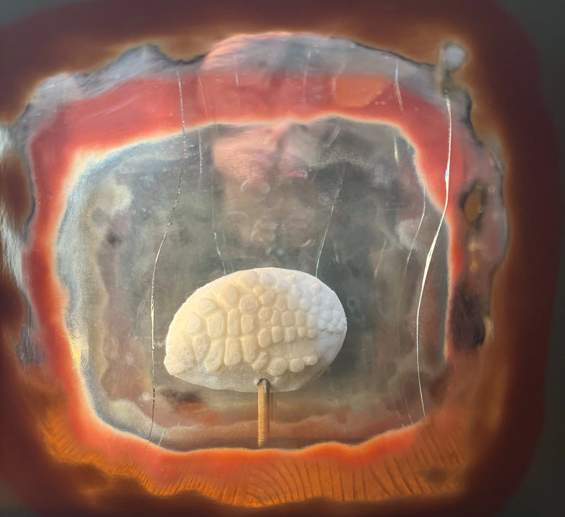Creation by Subtraction: What We See is Shaped by What we don’t