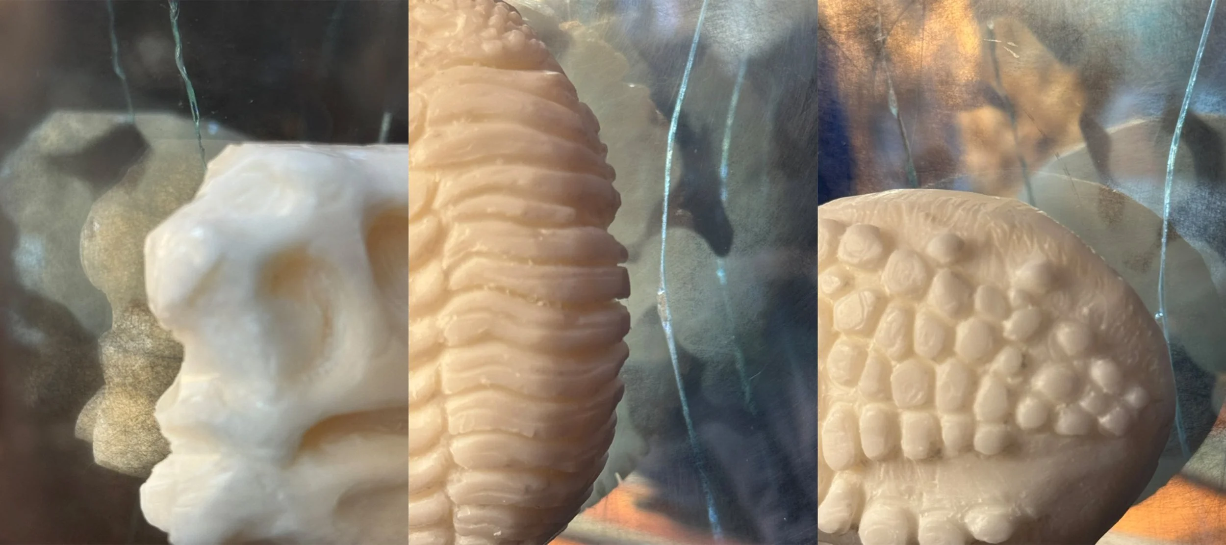 close-ups of carved soap "fossils" and mirror edges