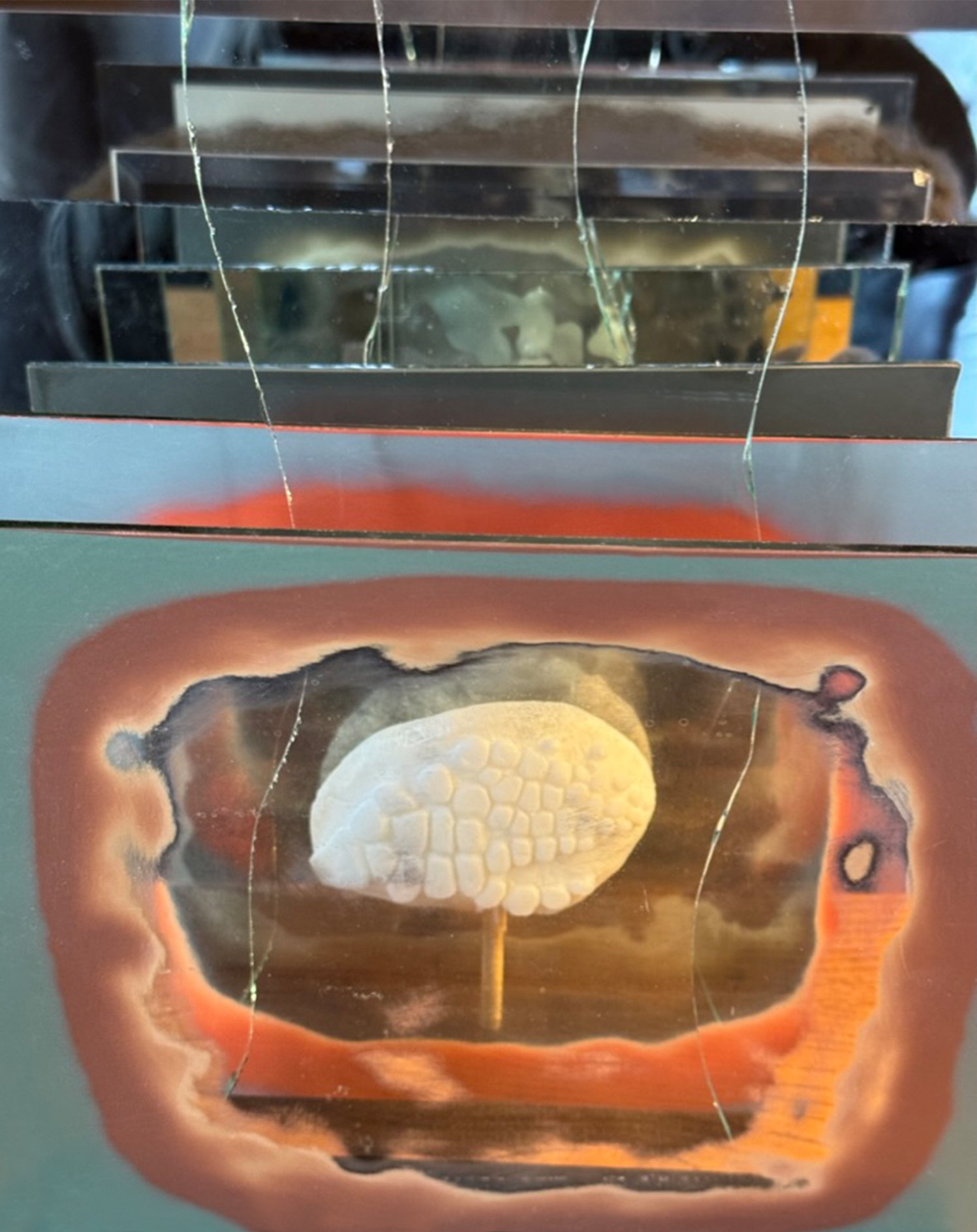 carved soap ichthyosaur "fossil" with edges of mirrors and glass shapes clearly visible