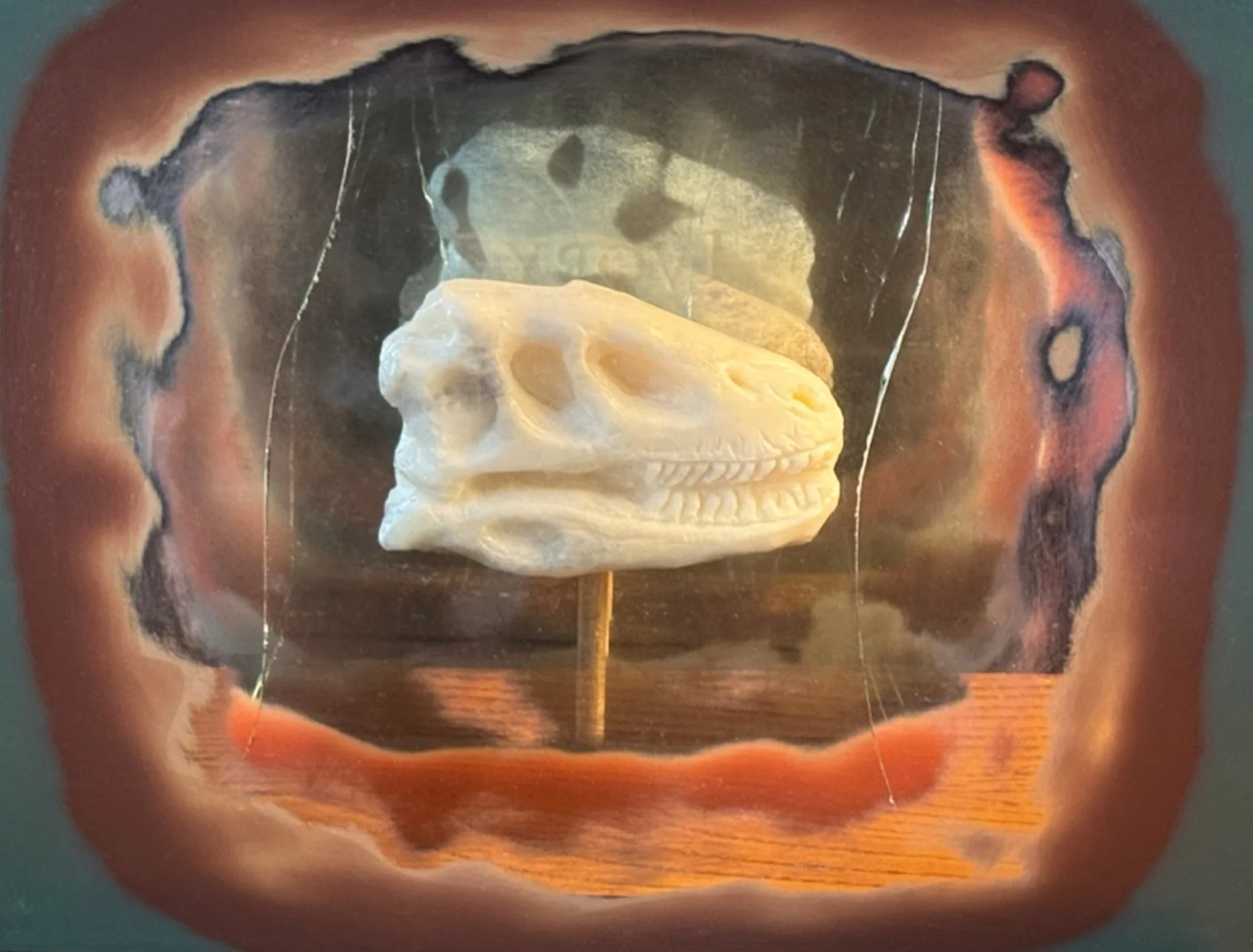 dinosaur skull carved from soap