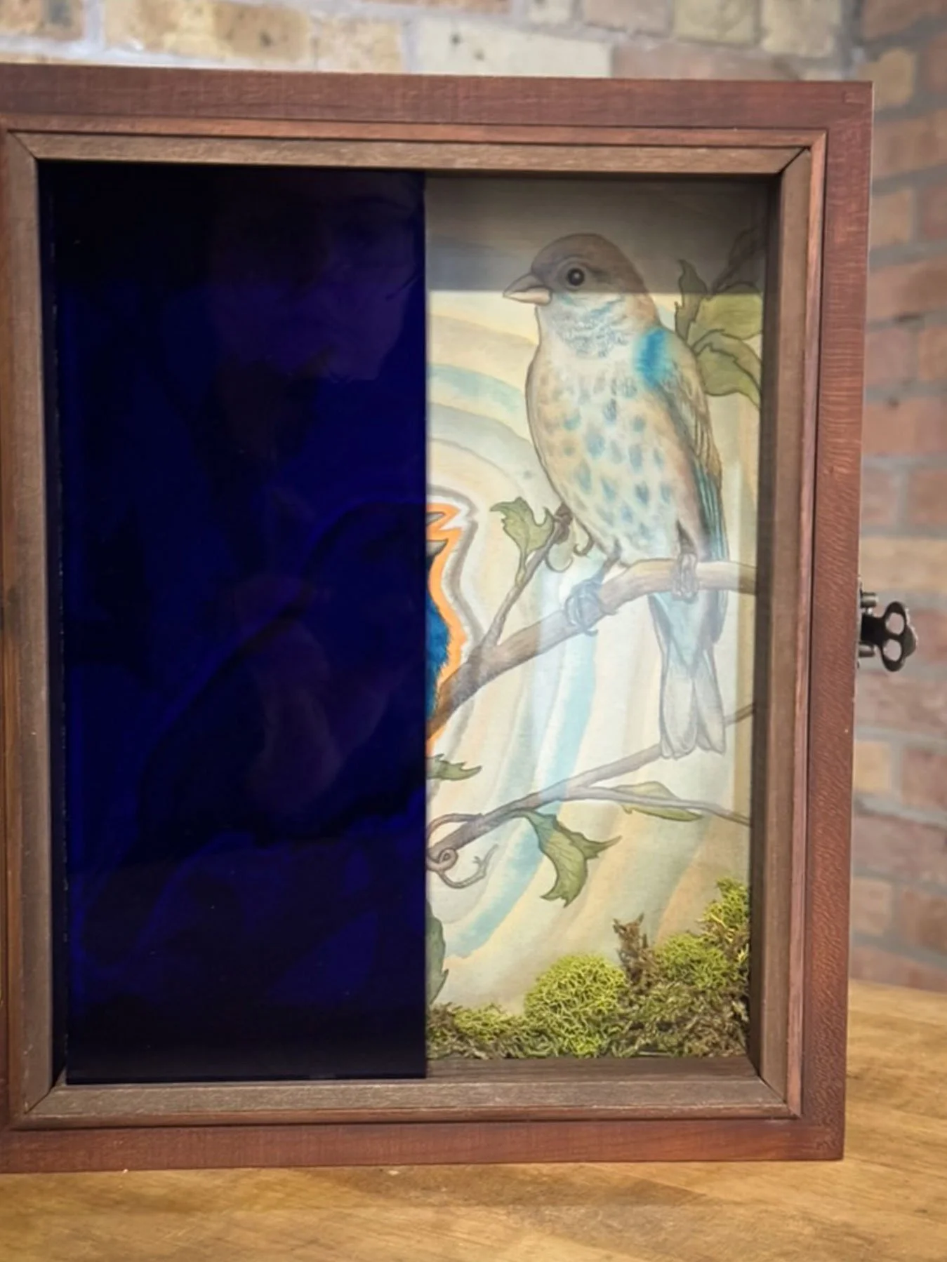 shadow box with blue glass on left and bird illustration on right