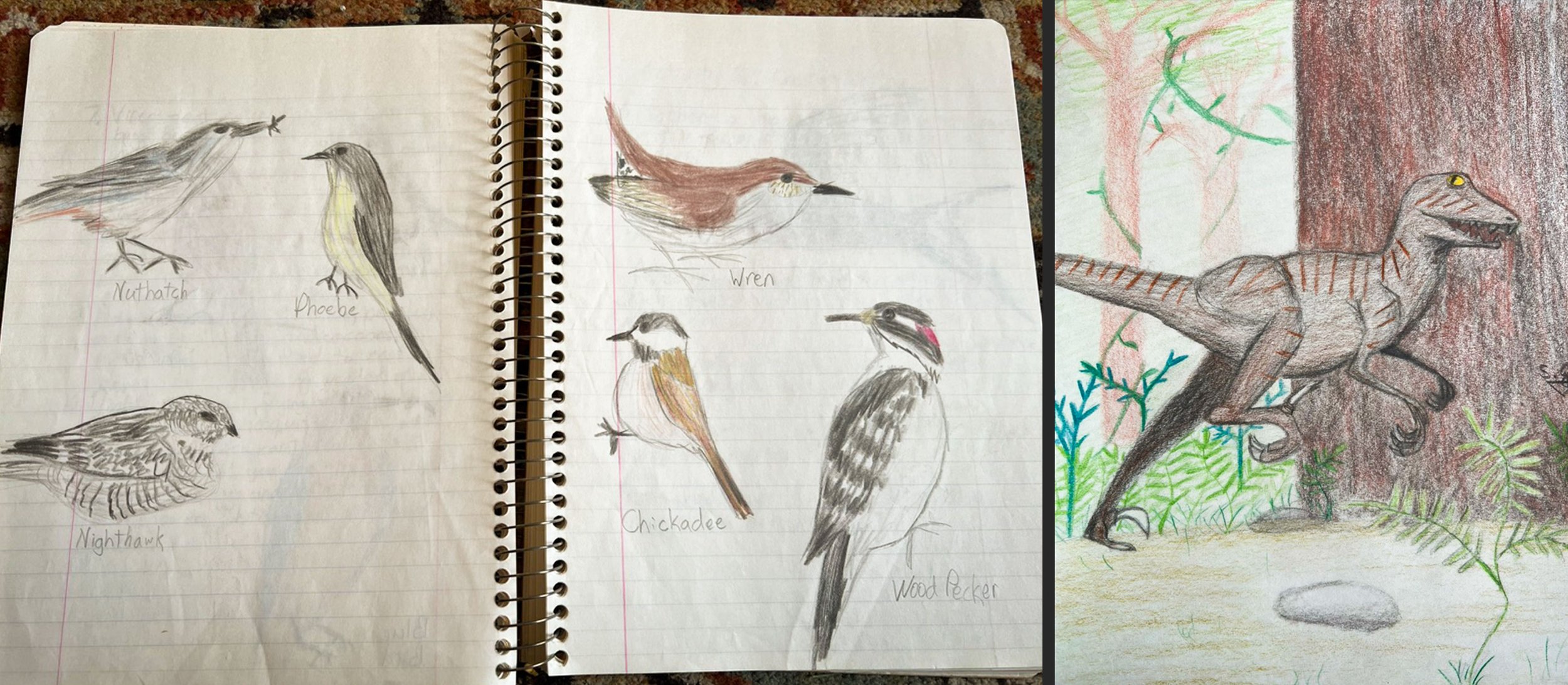 child drawings of six birds and a utahraptor dinosaur