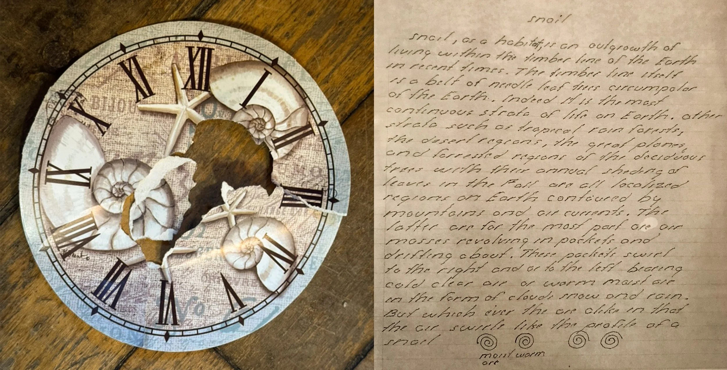 torn paper clock with snail shells and roman numerals, hand written text about snail