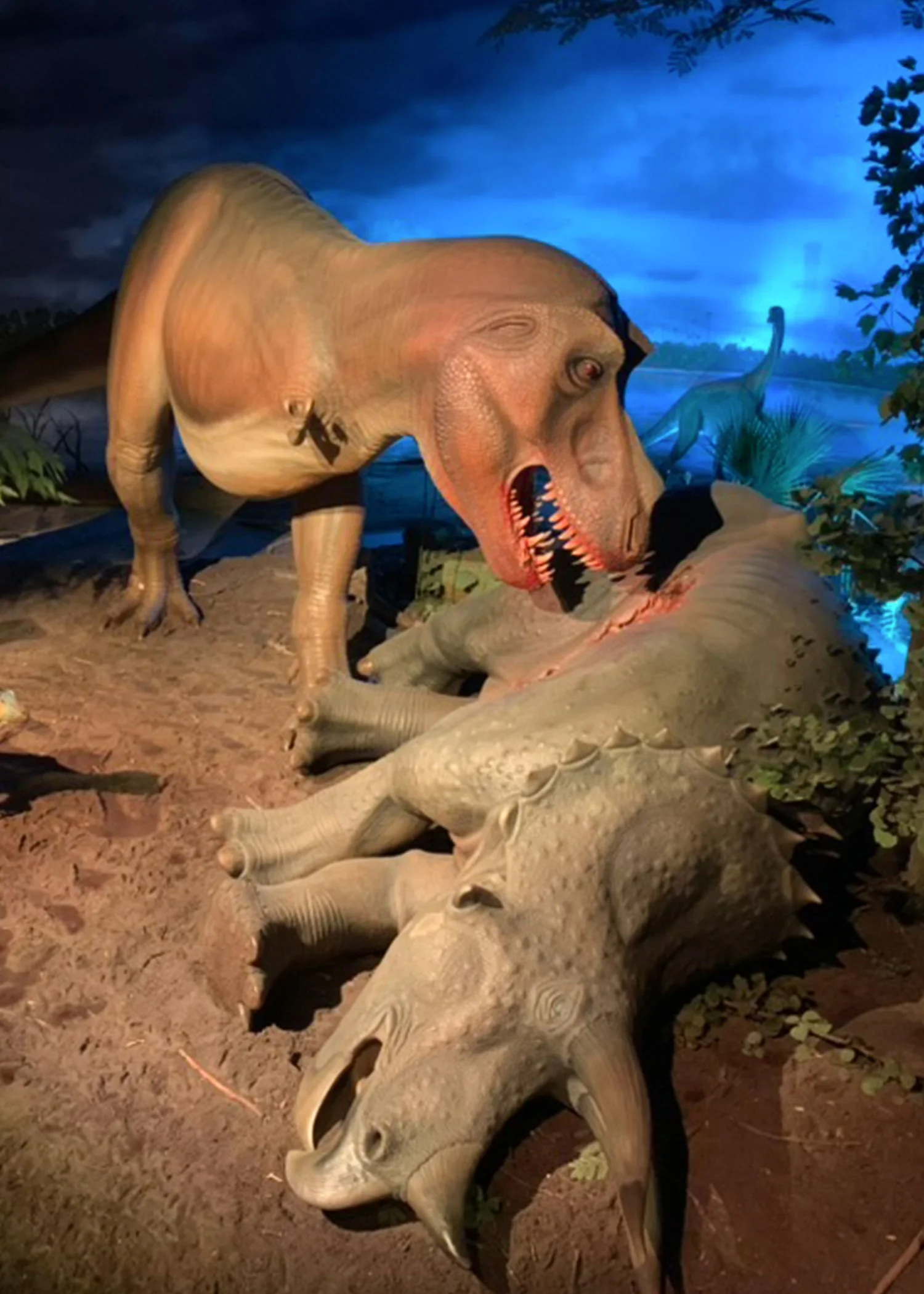 life sized diorama of a tyrannosaurus eating a triceratops