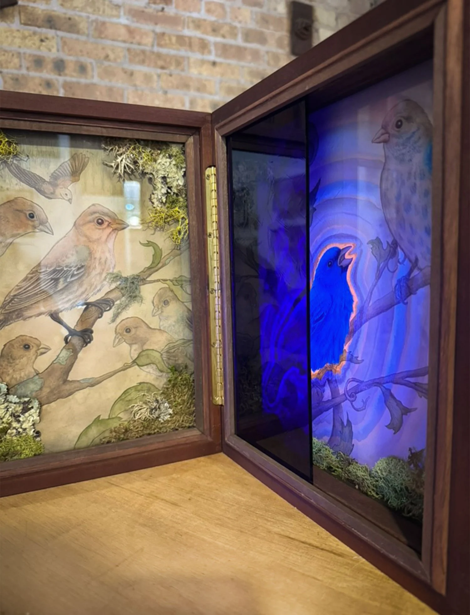 open shadow box with bird illustrations, blue glass, and UV light