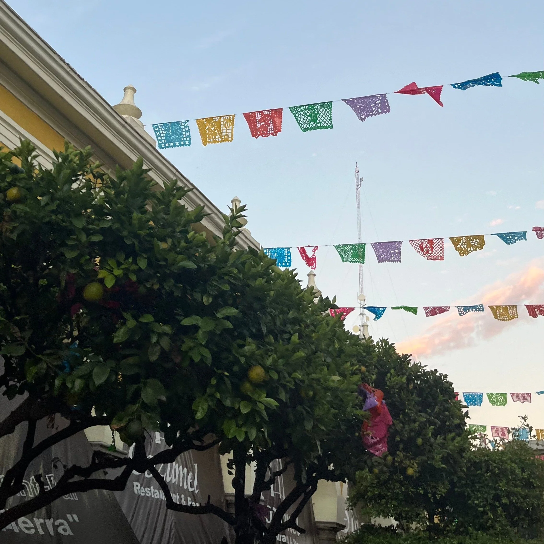 Buildings and colourful flags on a Mexican street.