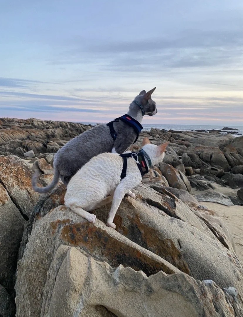 Mako & Beanie