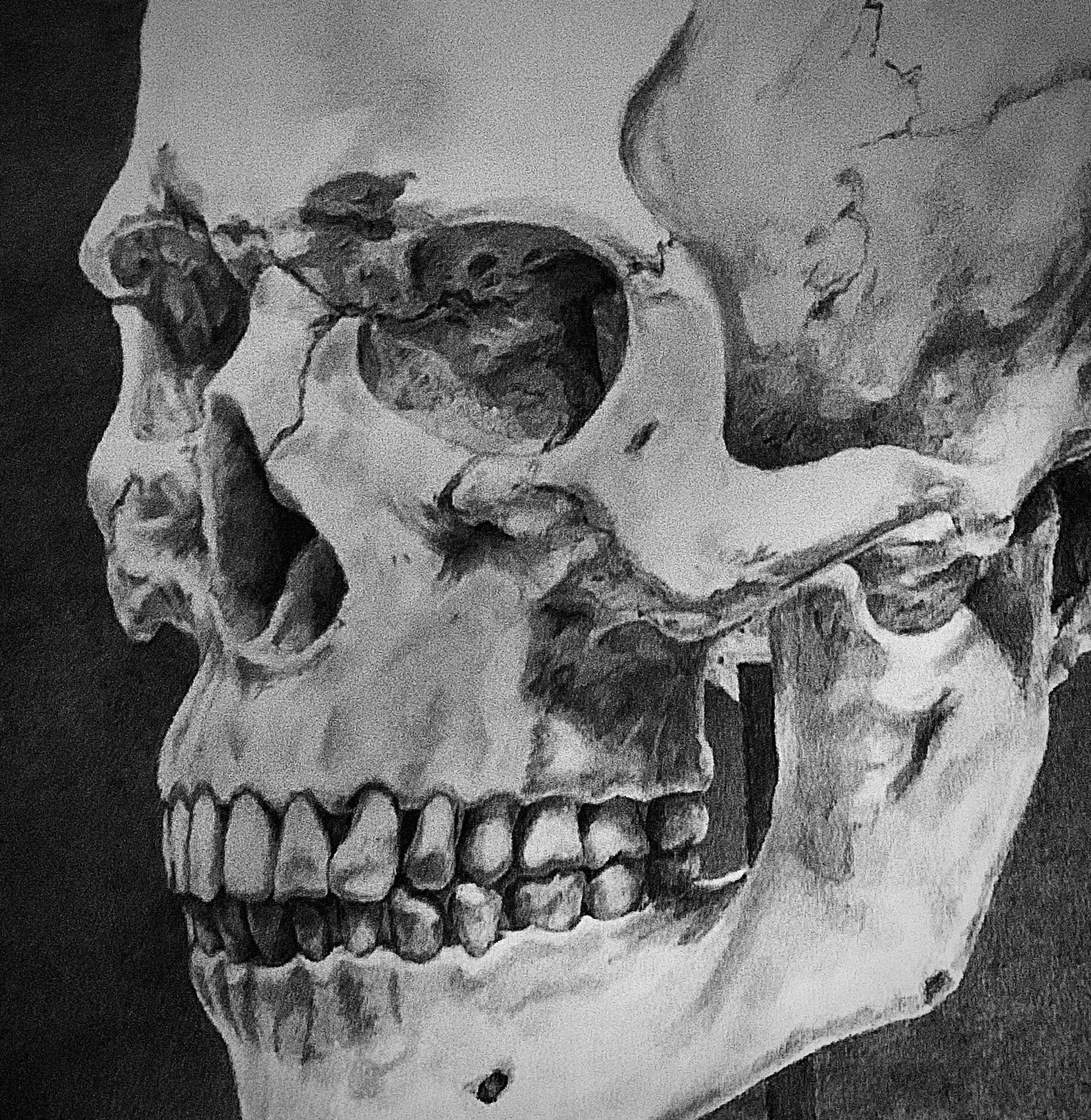 Self Portrait 2020