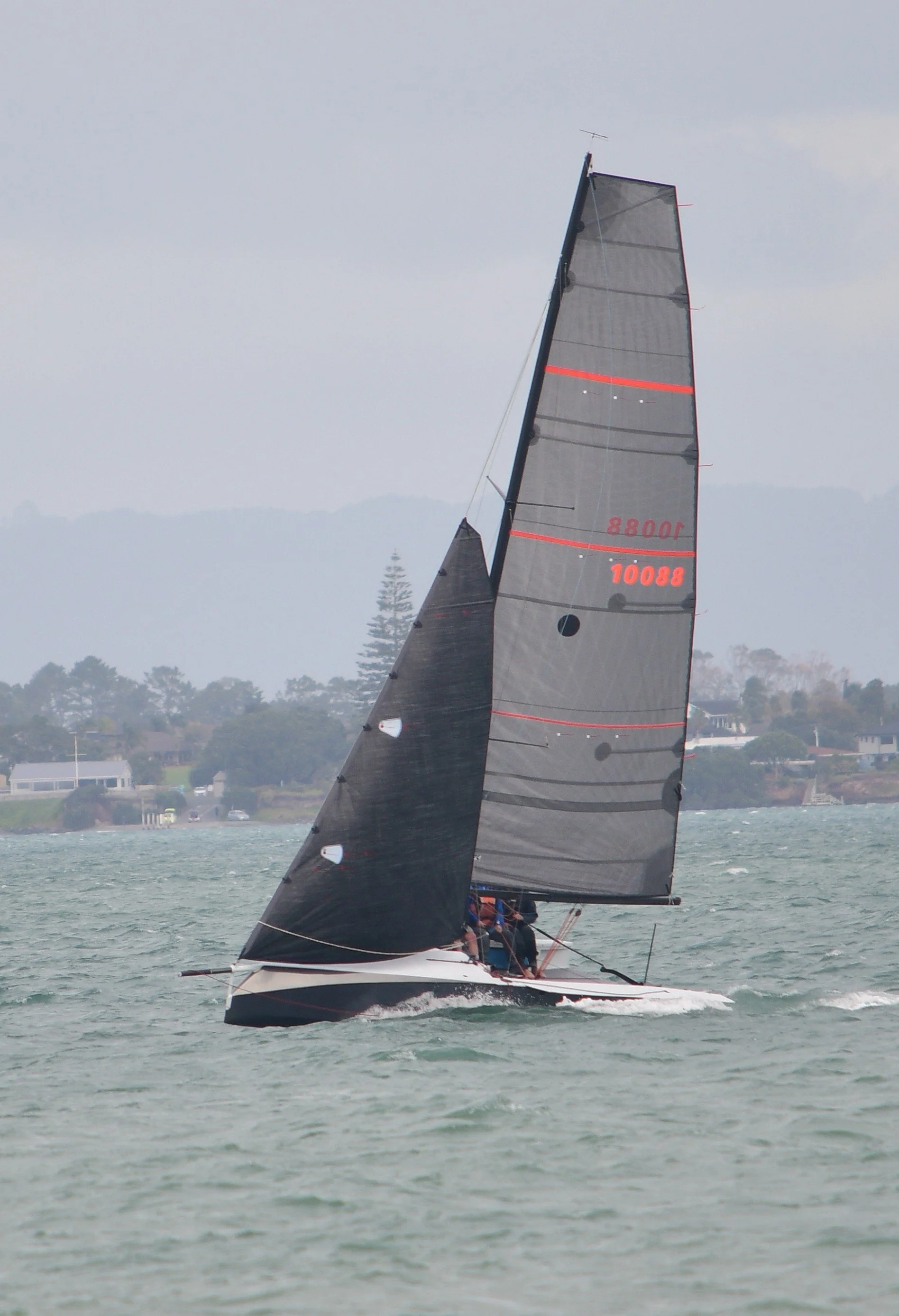 DSC_1335-3.JPG