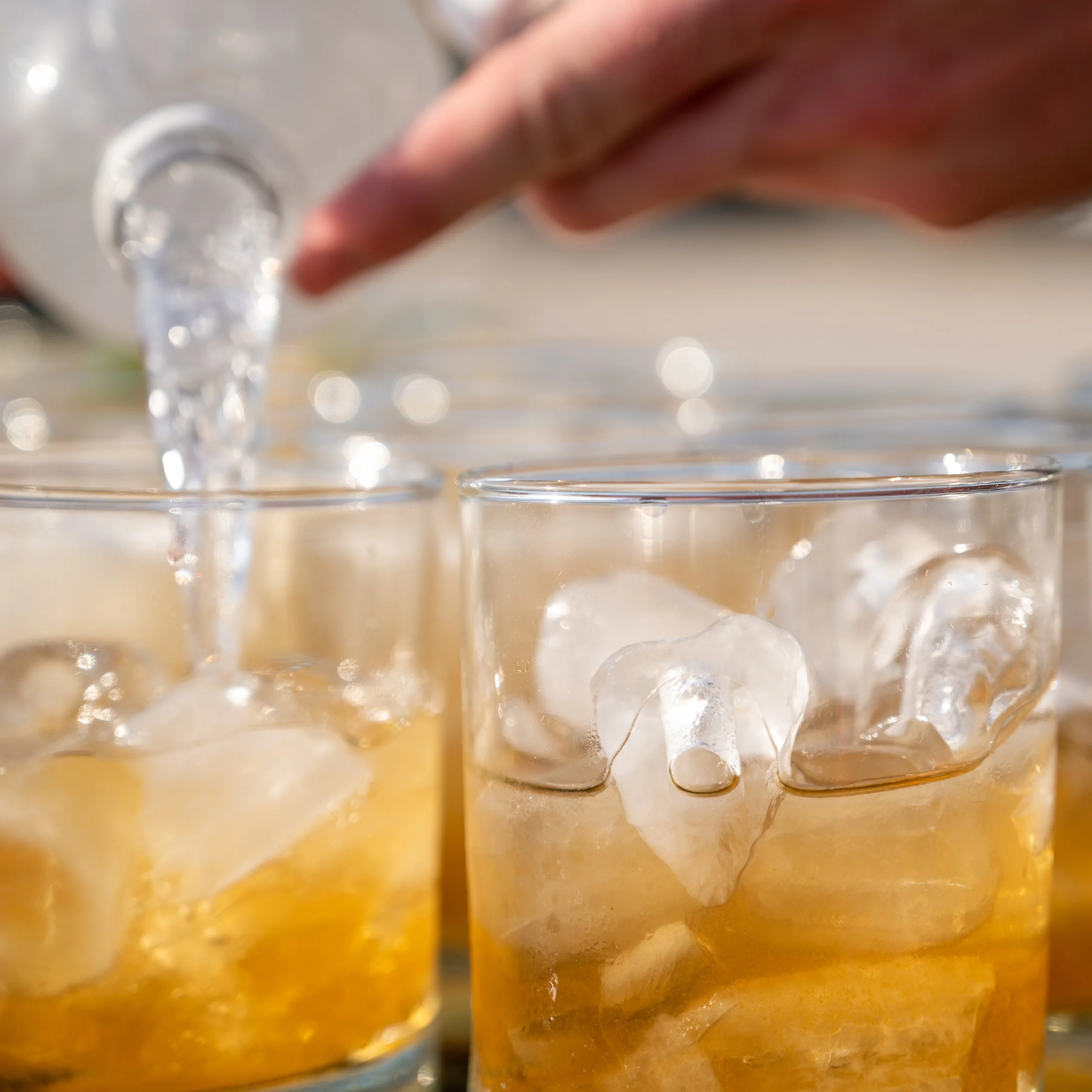 Kroul Farm Dinner 2021-7299.jpg