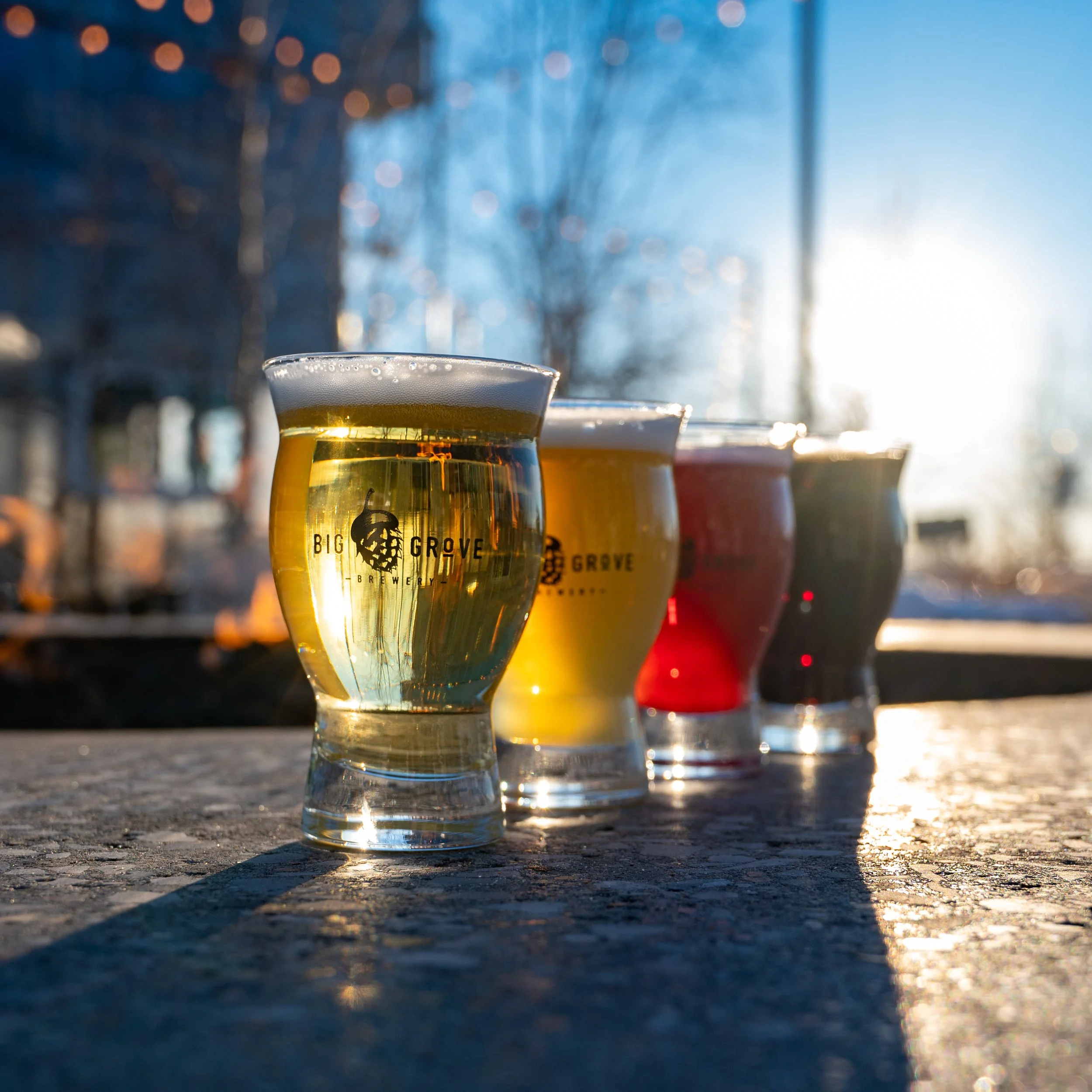 Flight (Jan 2022)-4324.jpg