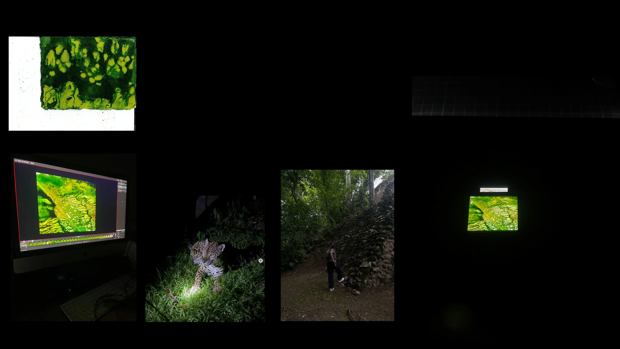 environment inspiration.jpg